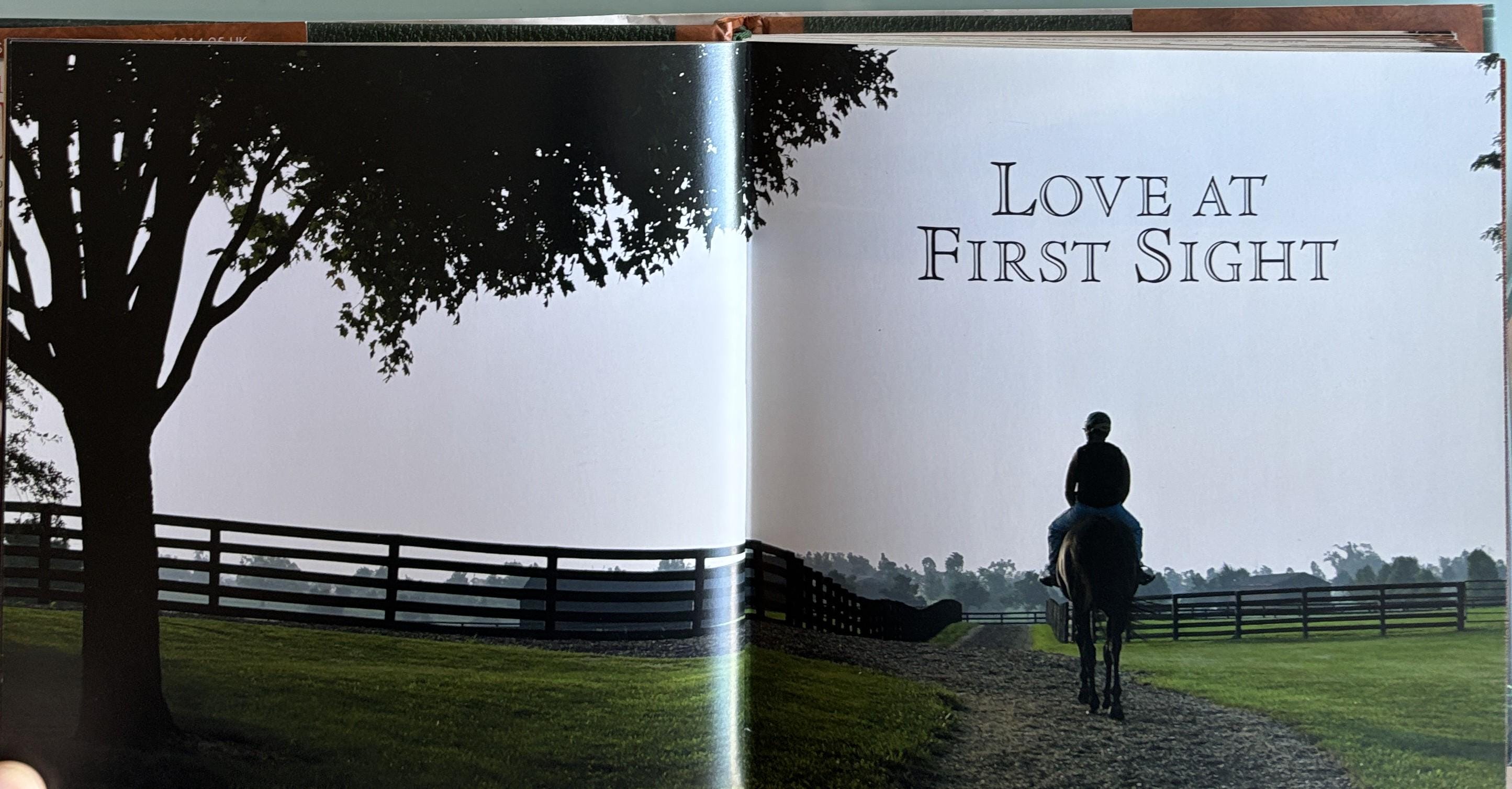1001 Reasons to Love Horses