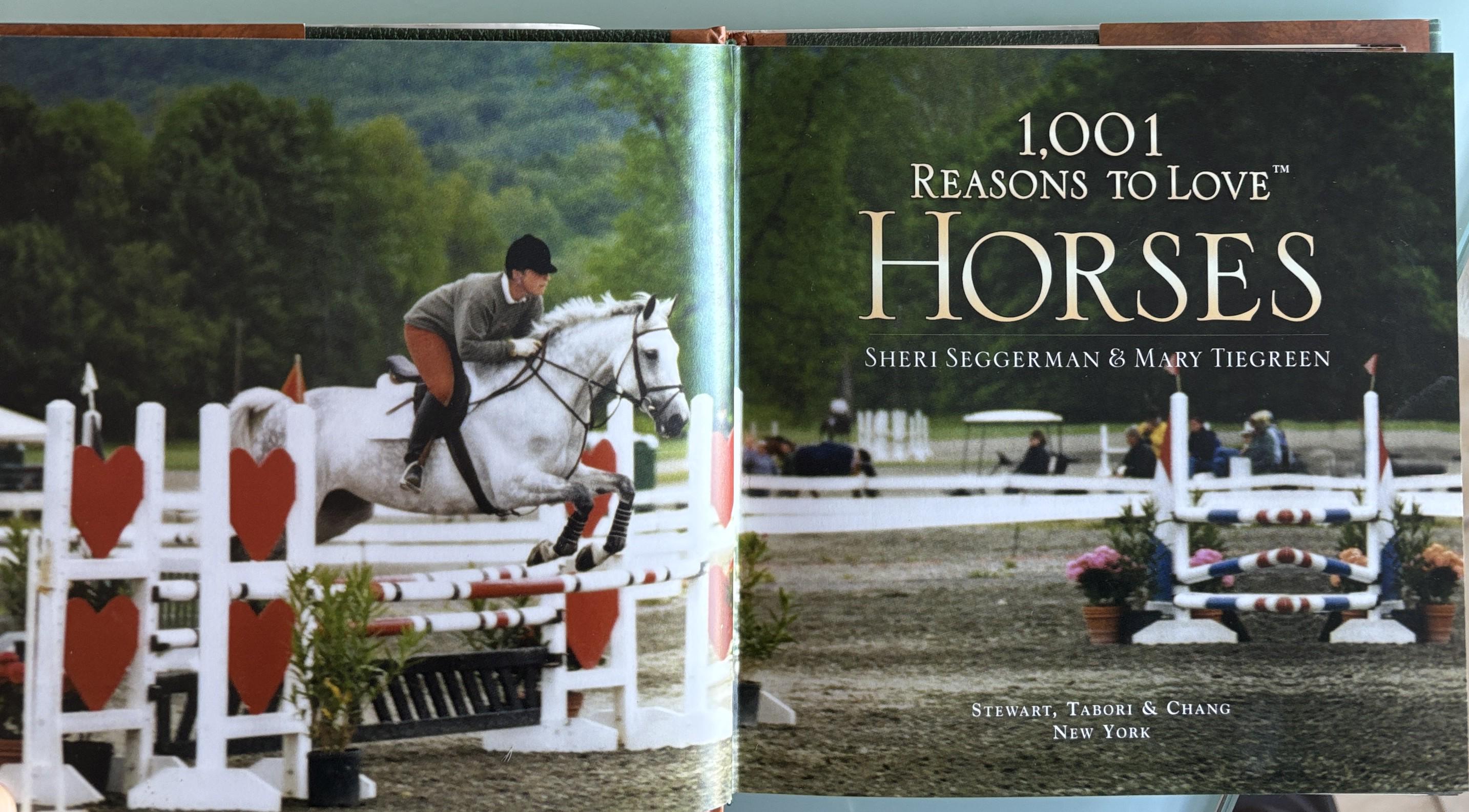 1001 Reasons to Love Horses