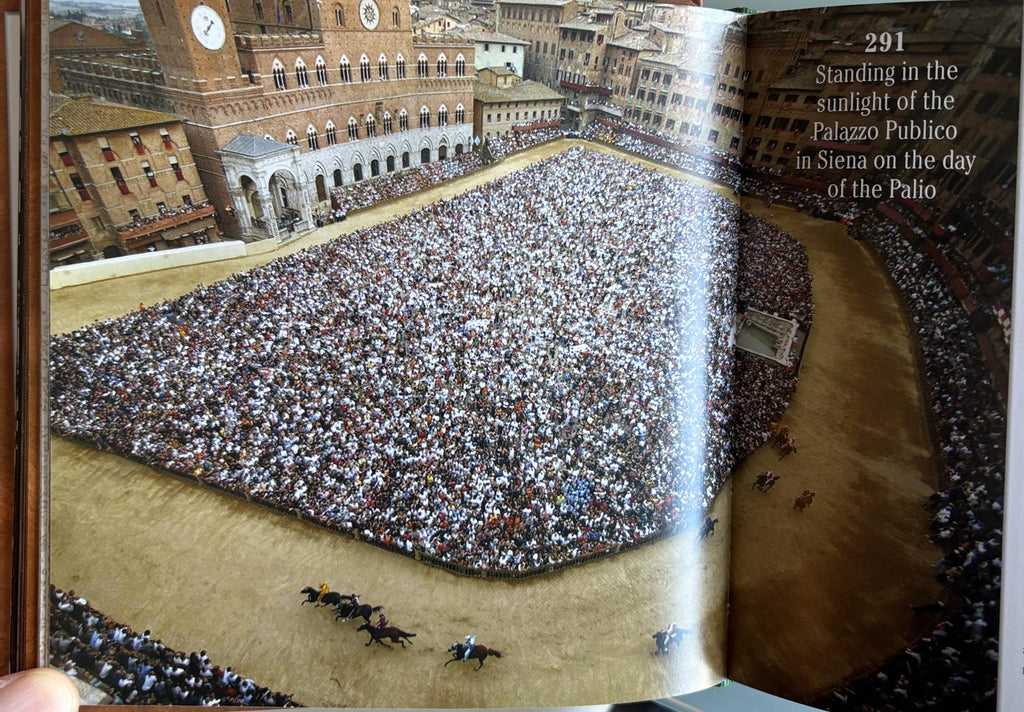 1001 Reasons to Love Horses