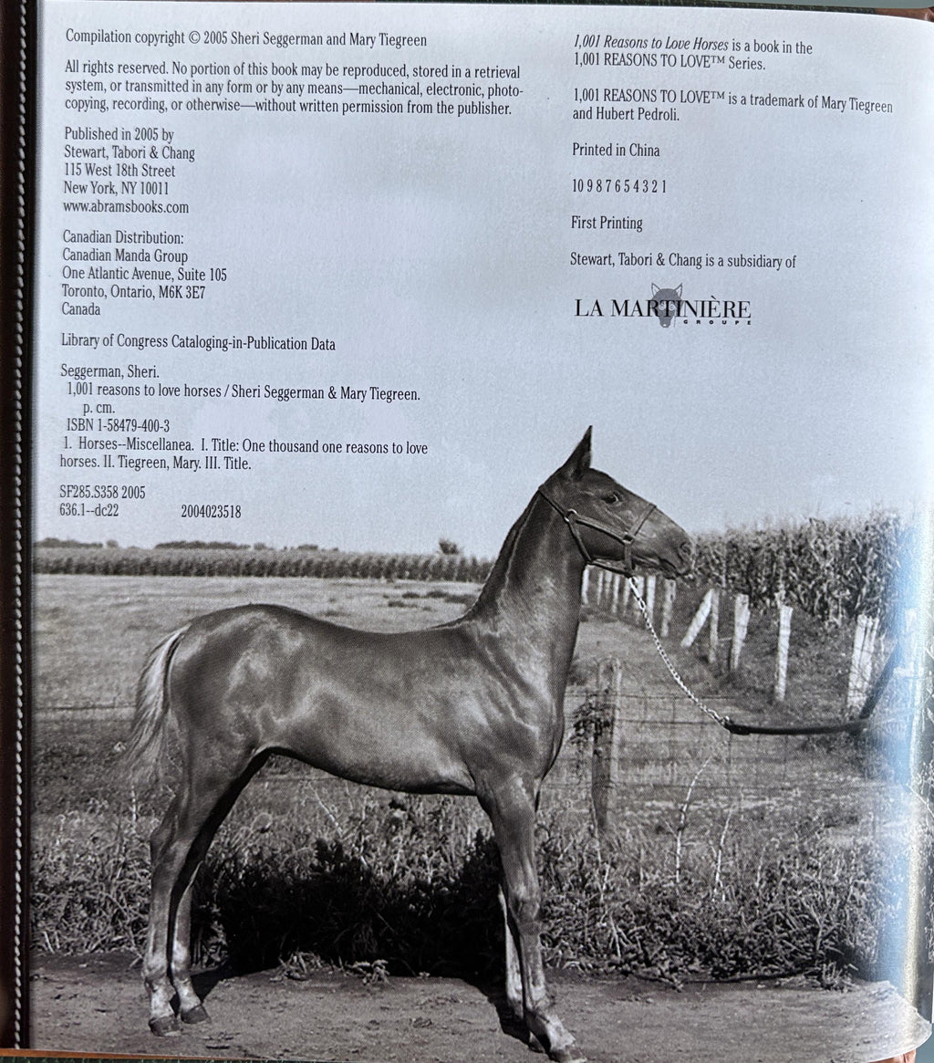 1001 Reasons to Love Horses