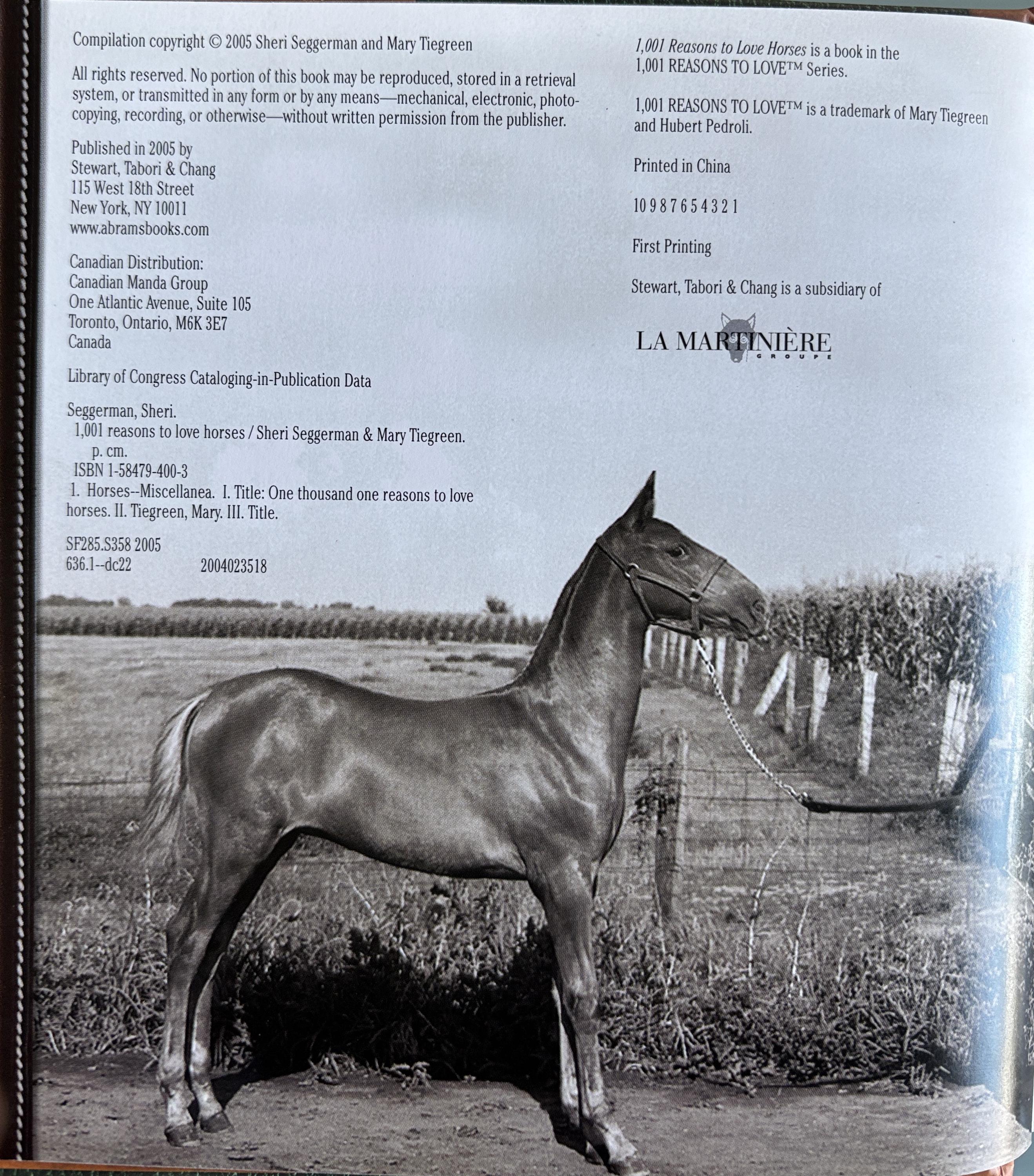 1001 Reasons to Love Horses