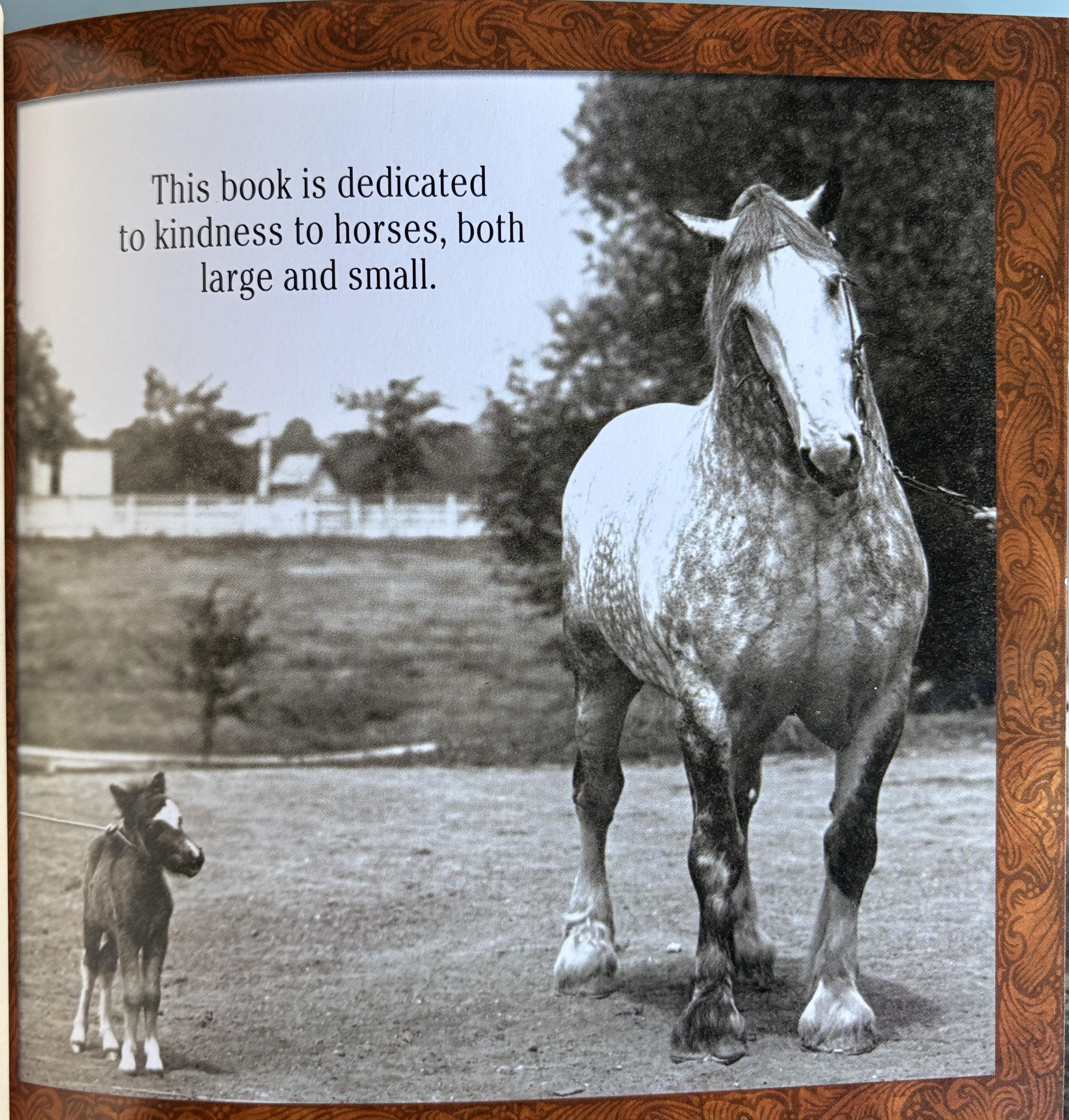 1001 Reasons to Love Horses