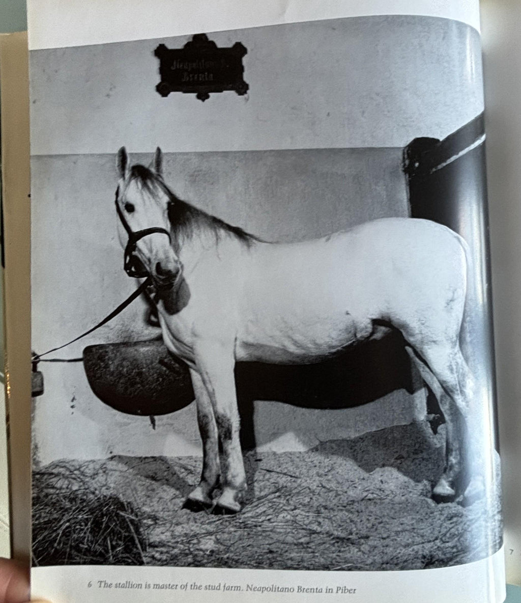 The Lipizzaners:  Alois Podhajsky  **  First American Edition  **  1969