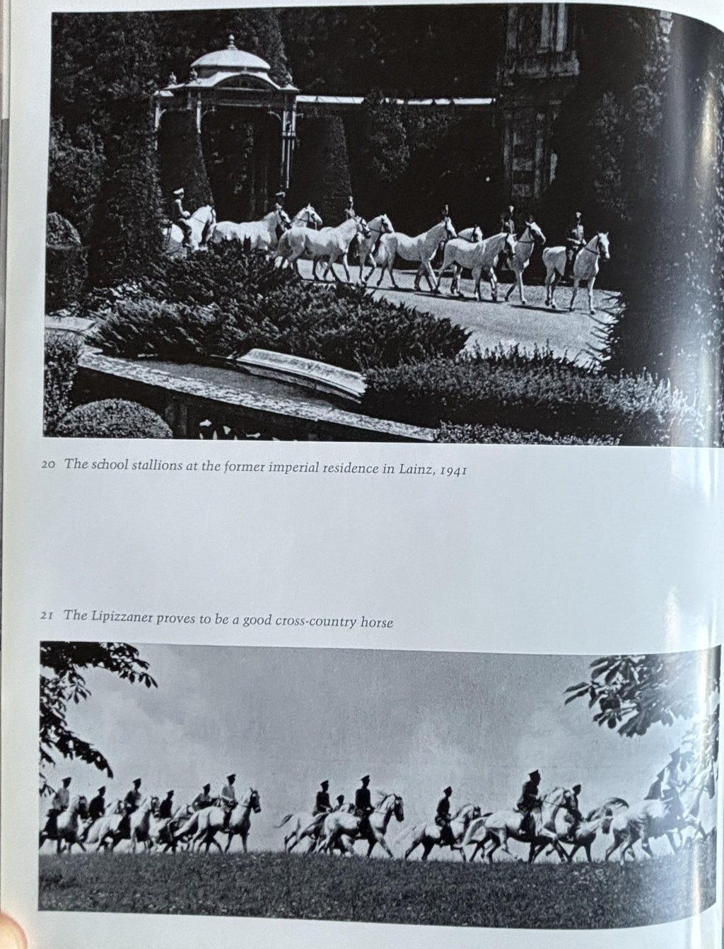 The Lipizzaners:  Alois Podhajsky  **  First American Edition  **  1969