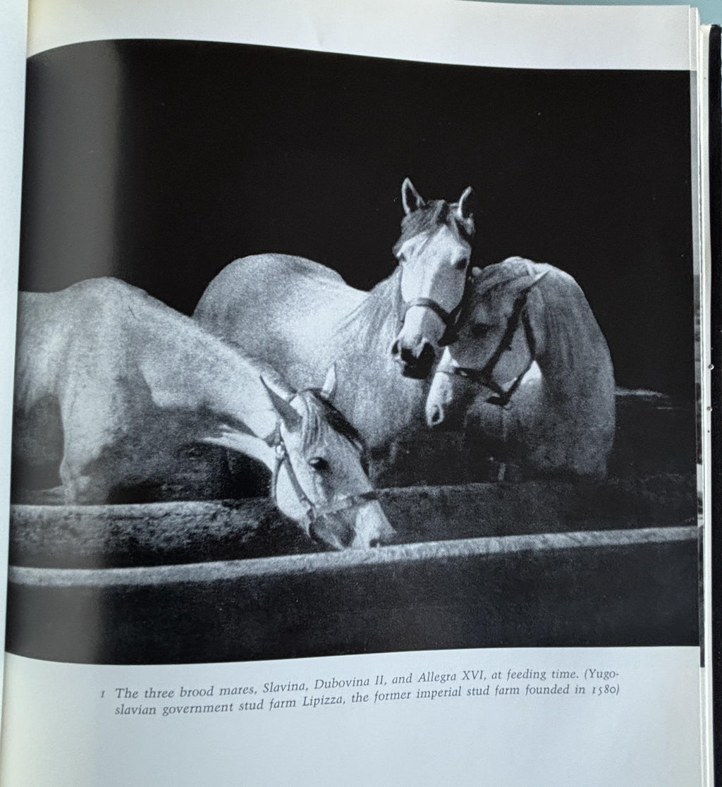 The Lipizzaners:  Alois Podhajsky  **  First American Edition  **  1969