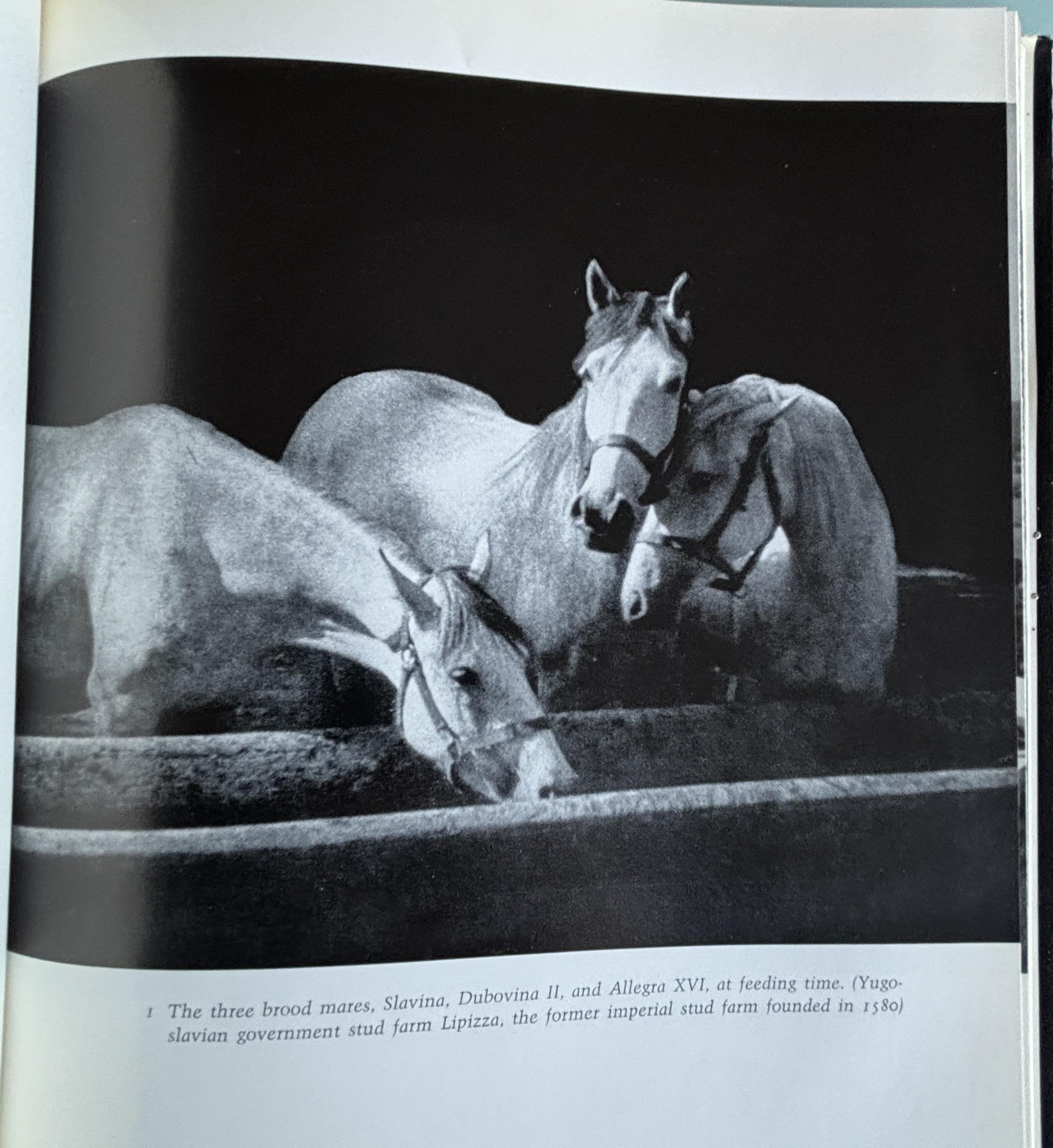 The Lipizzaners:  Alois Podhajsky  **  First American Edition  **  1969