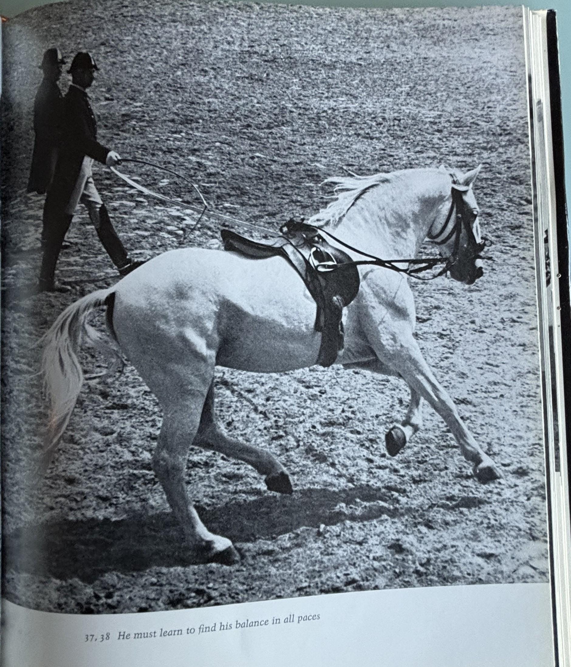 The Lipizzaners:  Alois Podhajsky  **  First American Edition  **  1969