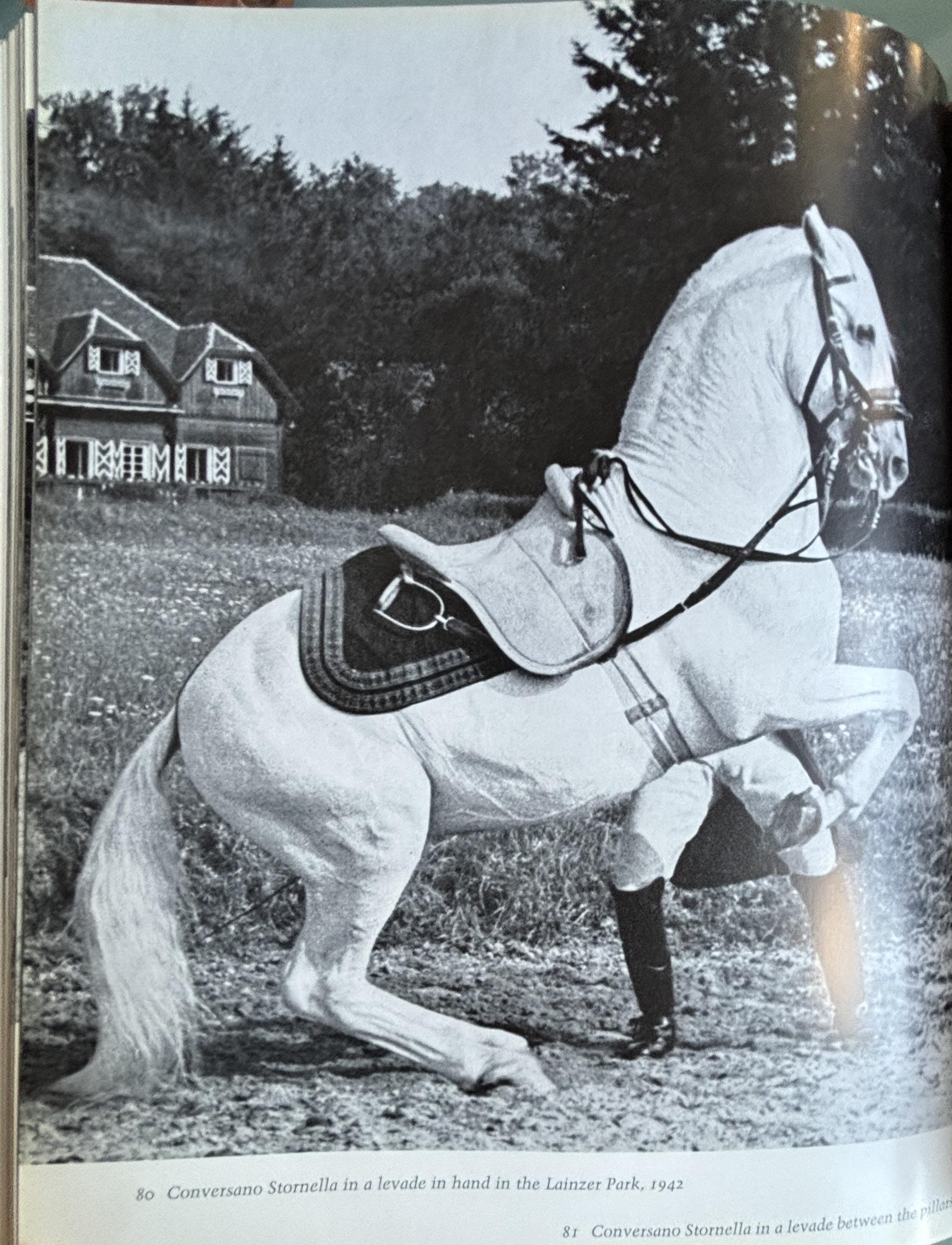 The Lipizzaners:  Alois Podhajsky  **  First American Edition  **  1969
