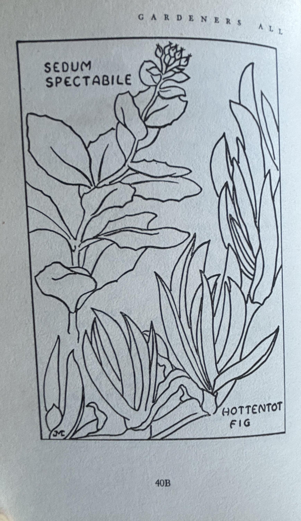 Gardeners ALL in California:  Albert Wilson  **  Signed First Printing 1953  **
