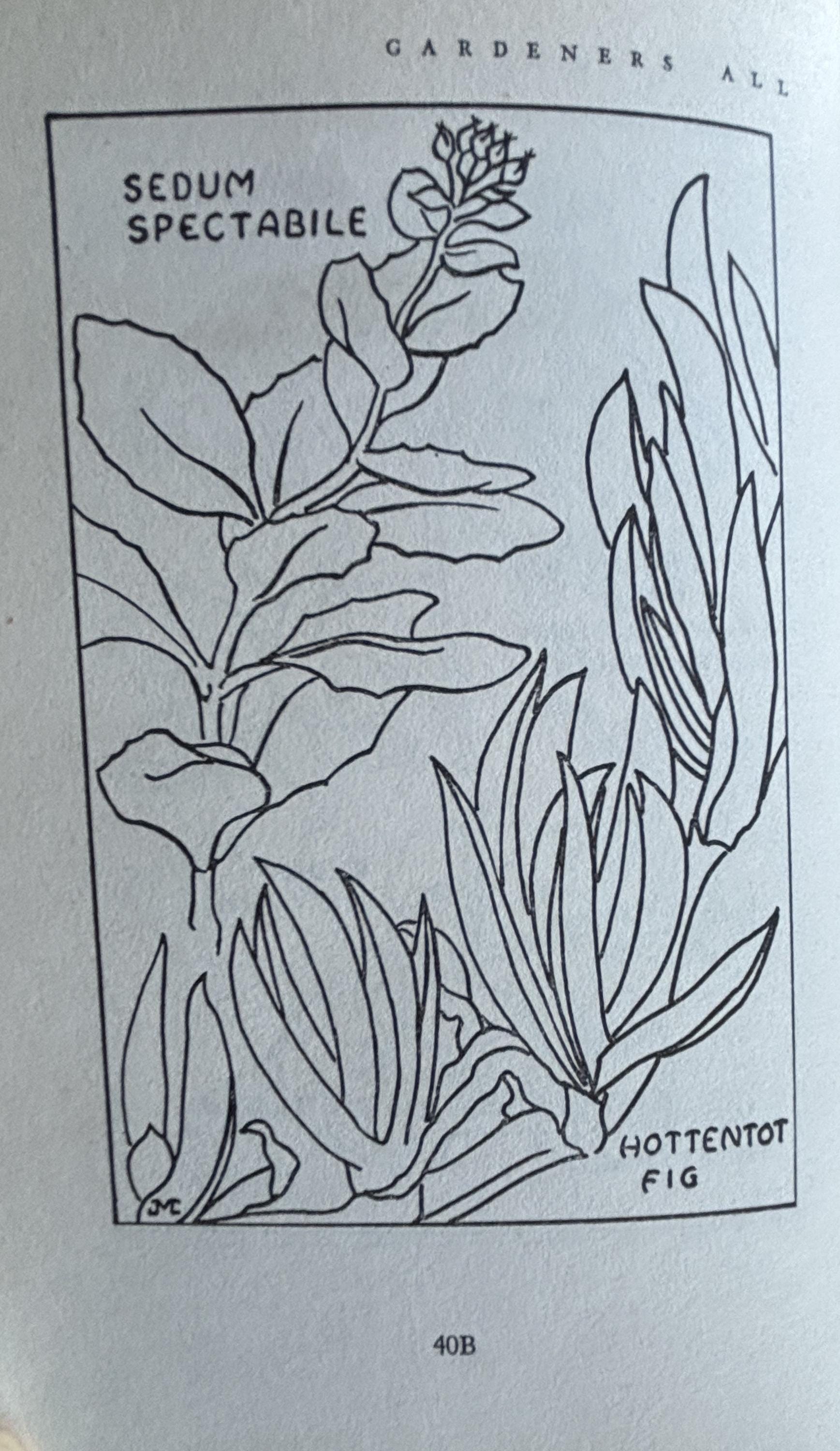 Gardeners ALL in California:  Albert Wilson  **  Signed First Printing 1953  **