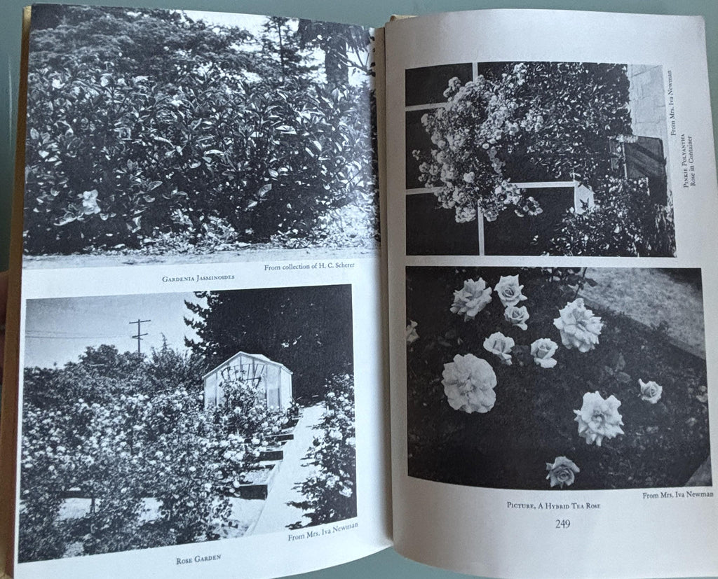 Gardeners ALL in California:  Albert Wilson  **  Signed First Printing 1953  **