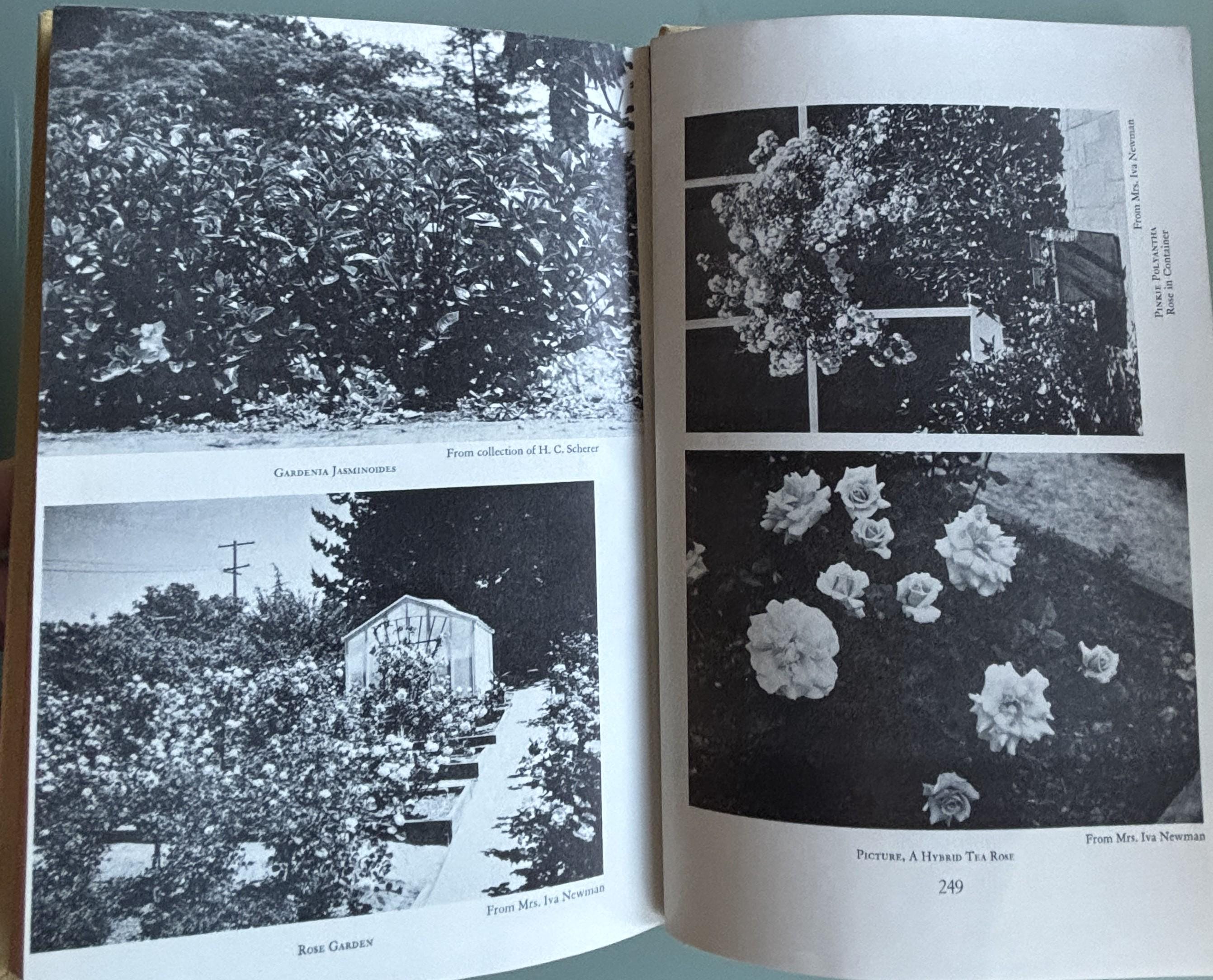 Gardeners ALL in California:  Albert Wilson  **  Signed First Printing 1953  **