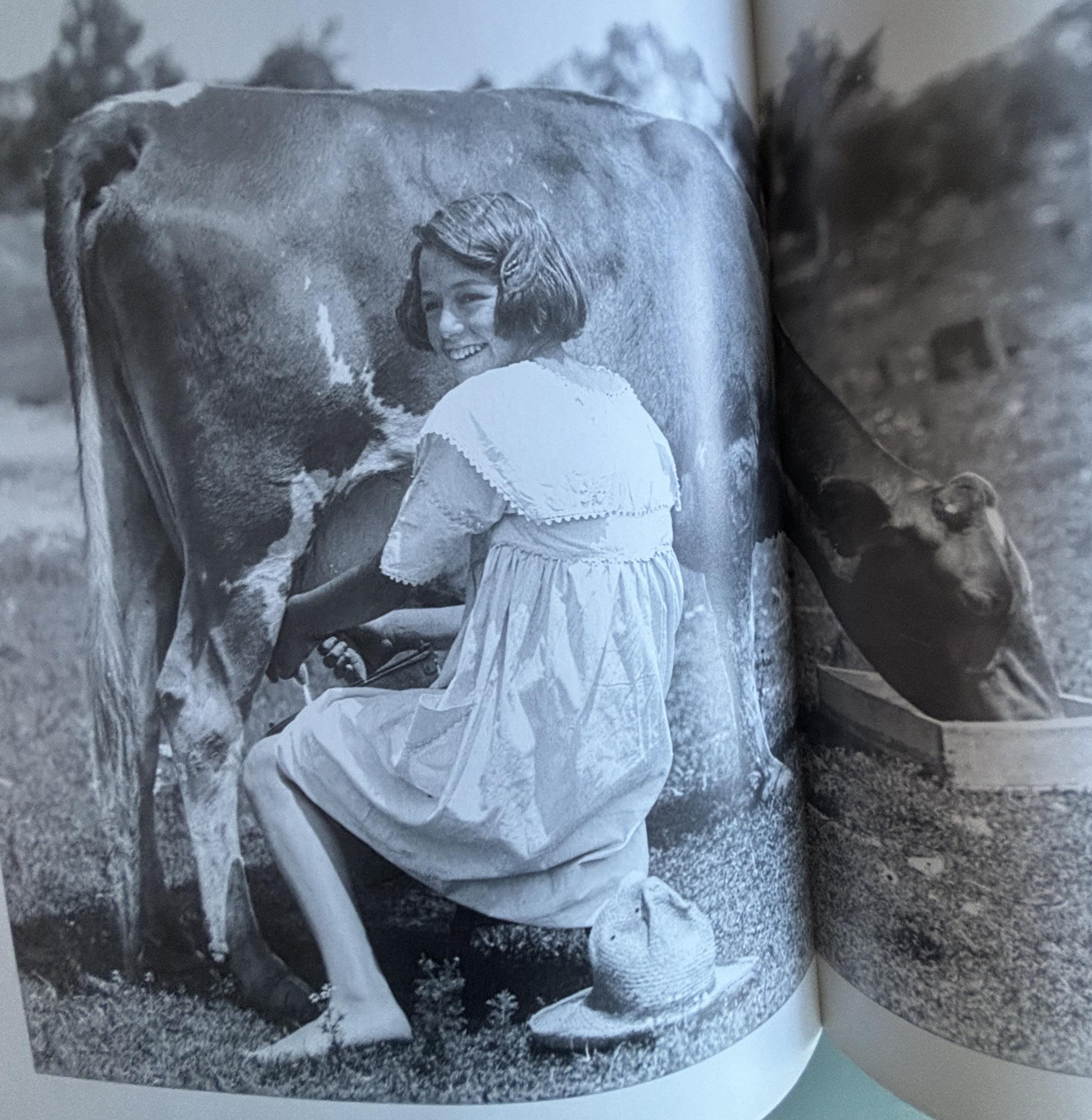 This Old Farm A Treasury of Family Farm Memories:  Michael Dregni