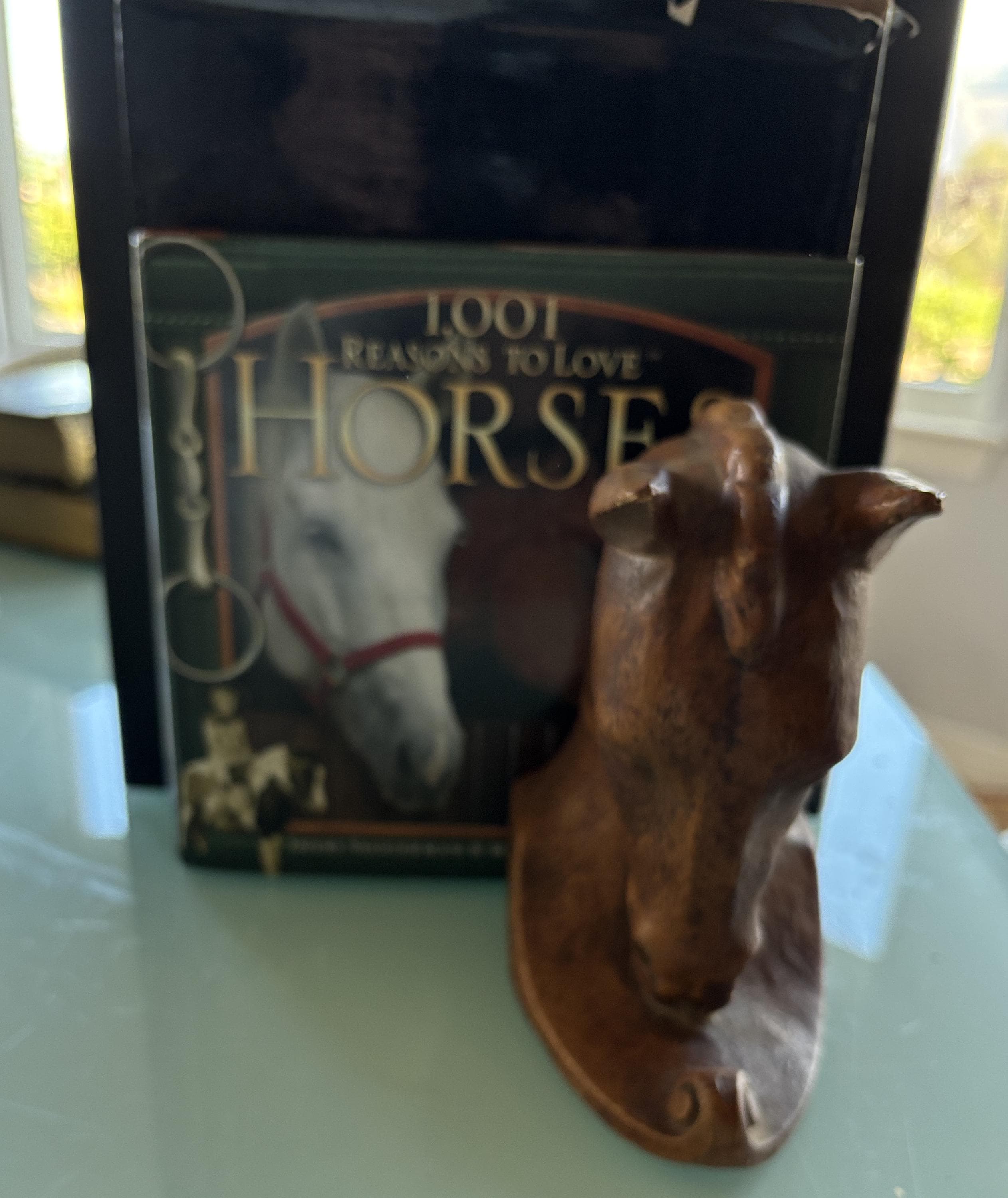 1001 Reasons to Love Horses