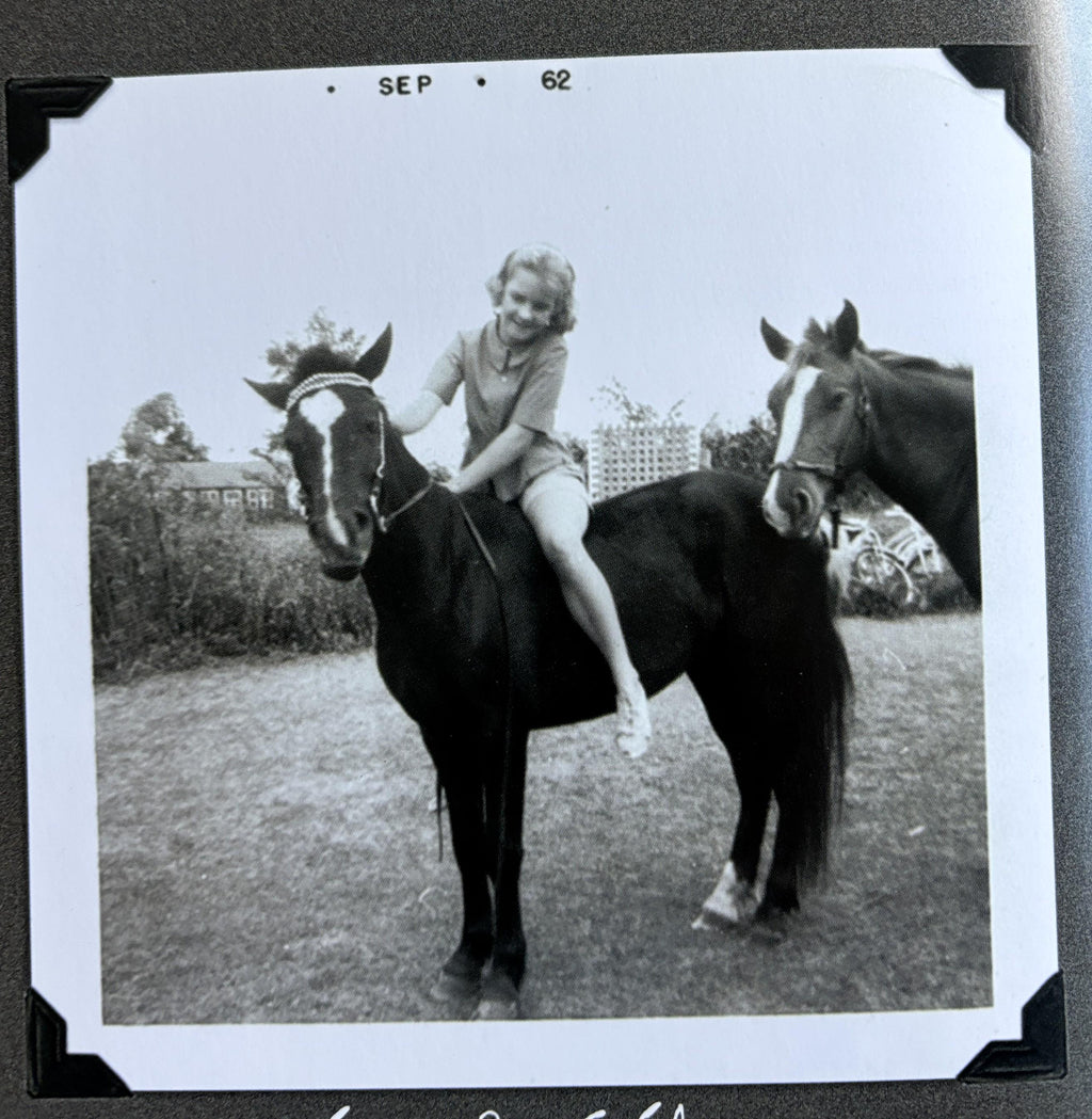 1001 Reasons to Love Horses