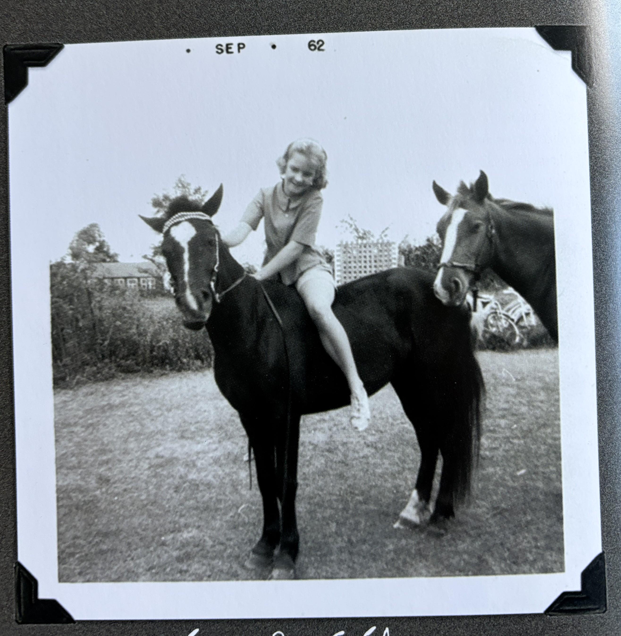 1001 Reasons to Love Horses