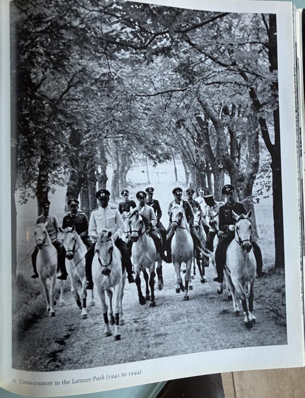 The Lipizzaners:  Alois Podhajsky  **  First American Edition  **  1969
