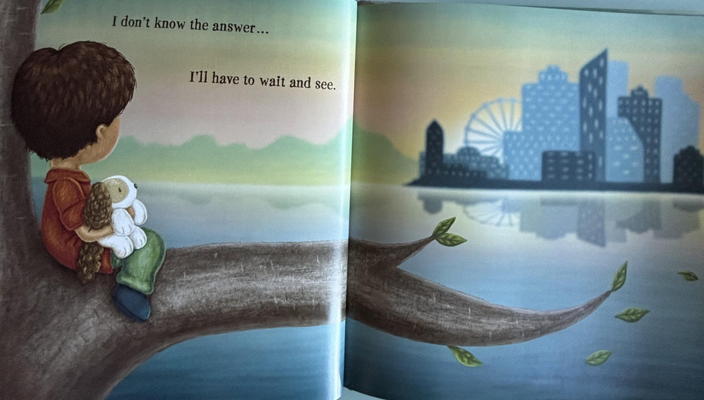 Little Prince, What Will You Be? Hardcover Children's Book, Naomi Zacharias