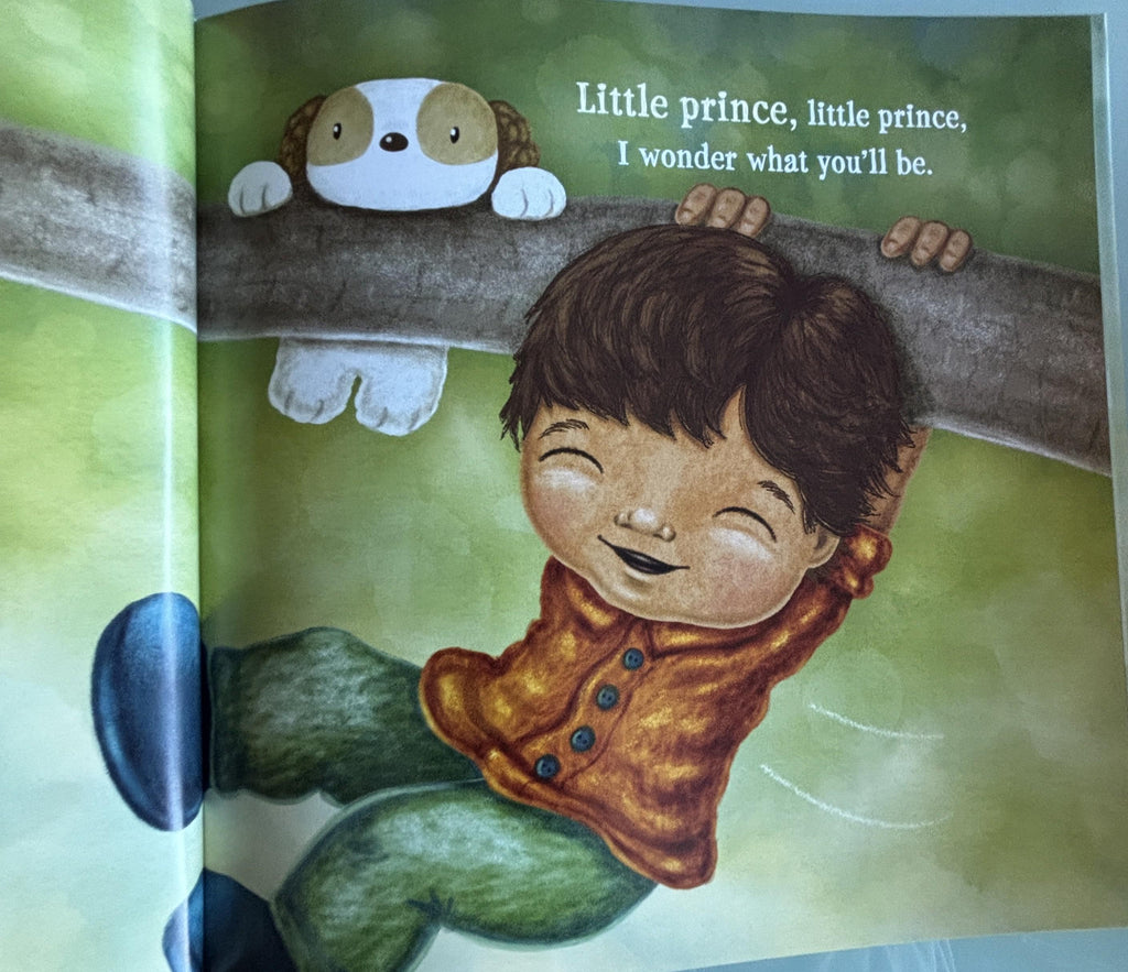 Little Prince, What Will You Be? Hardcover Children's Book, Naomi Zacharias