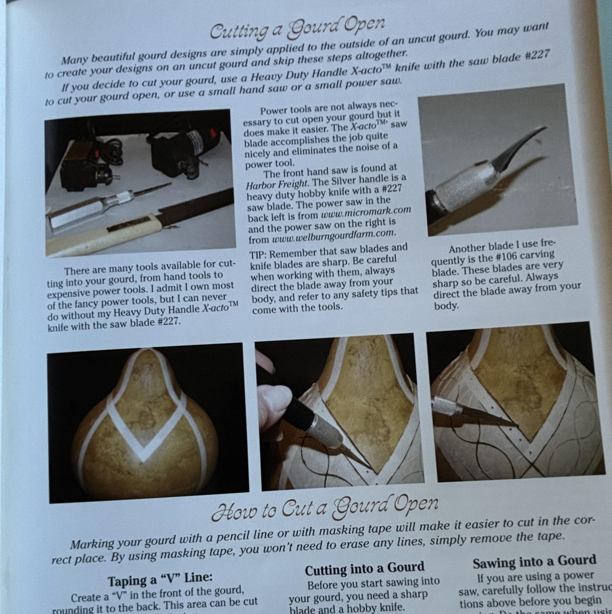New Gourd Art with Ink Dyes:  Maria Dellos