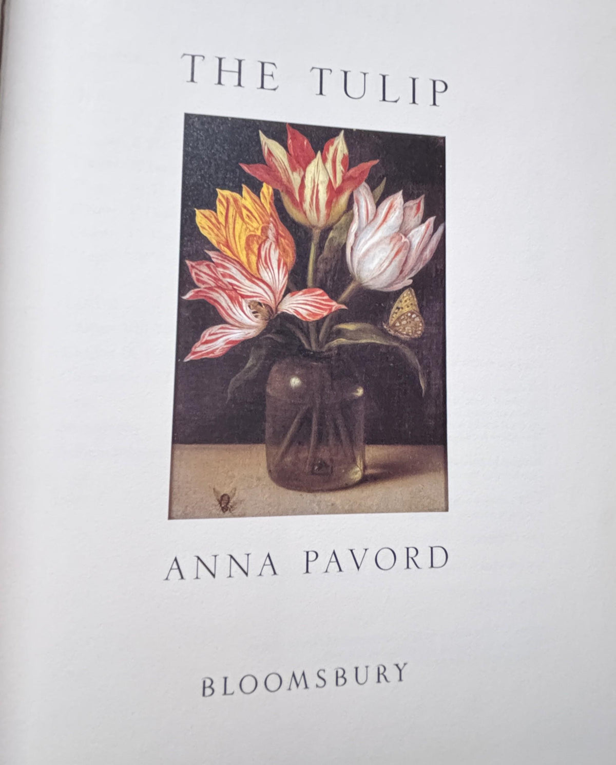 The TULIP:  Anna Pavord  **  First U.S. Edition  **  1999