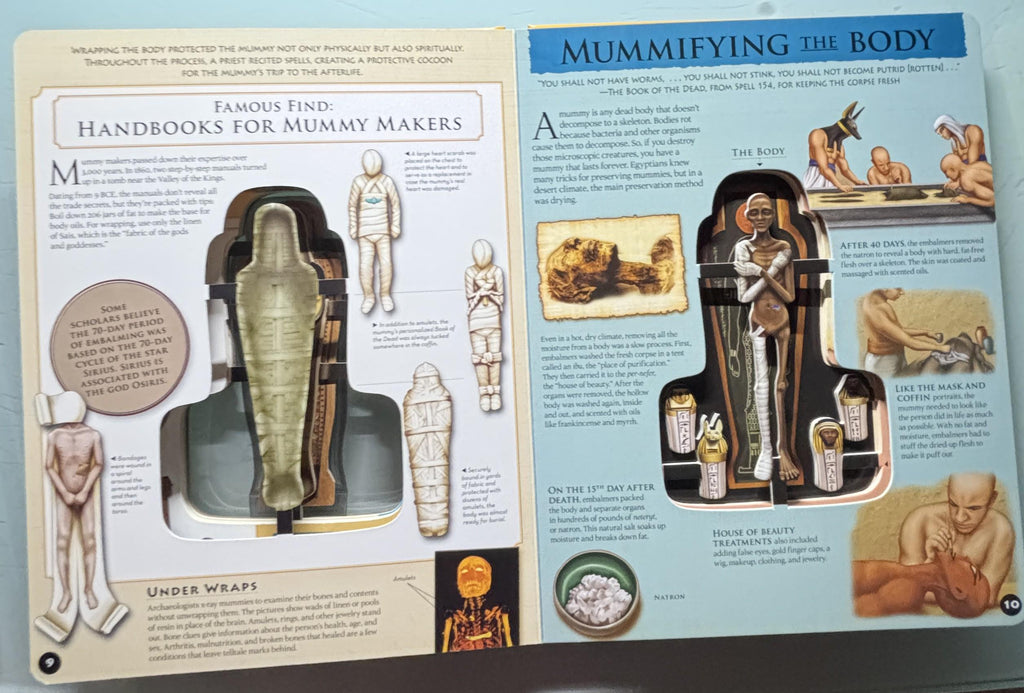 Inside Out - Egyptian MUMMMY:  Becker & Meyer