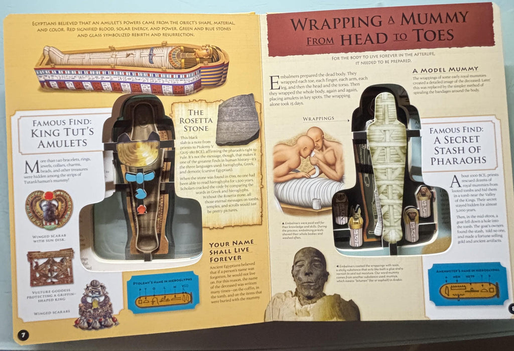 Inside Out - Egyptian MUMMMY:  Becker & Meyer
