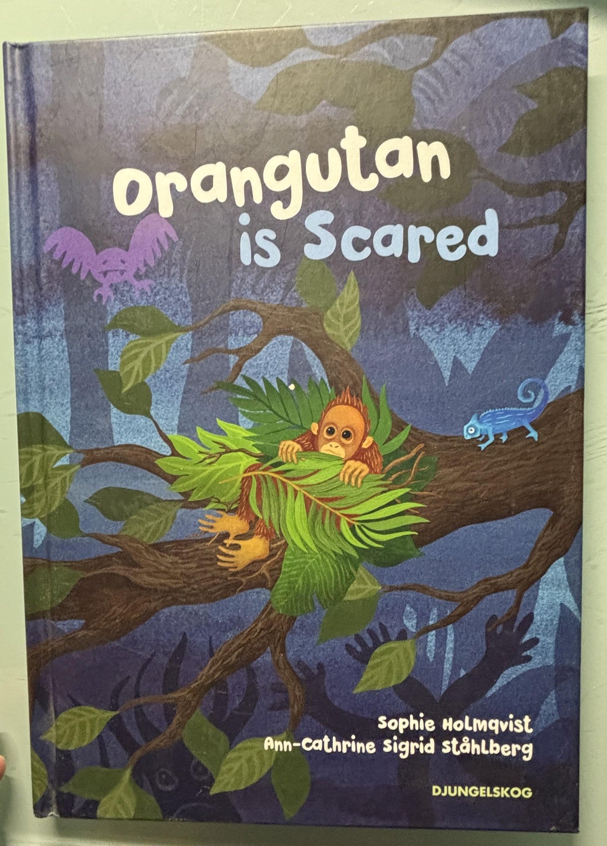 Orangutan is Scared:  Sophie Holmqvist