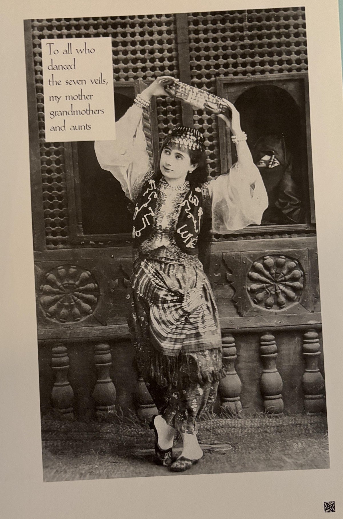 Harem - The World Behind the Veil: Alev L. Coutier  **  First Edition  **  1989