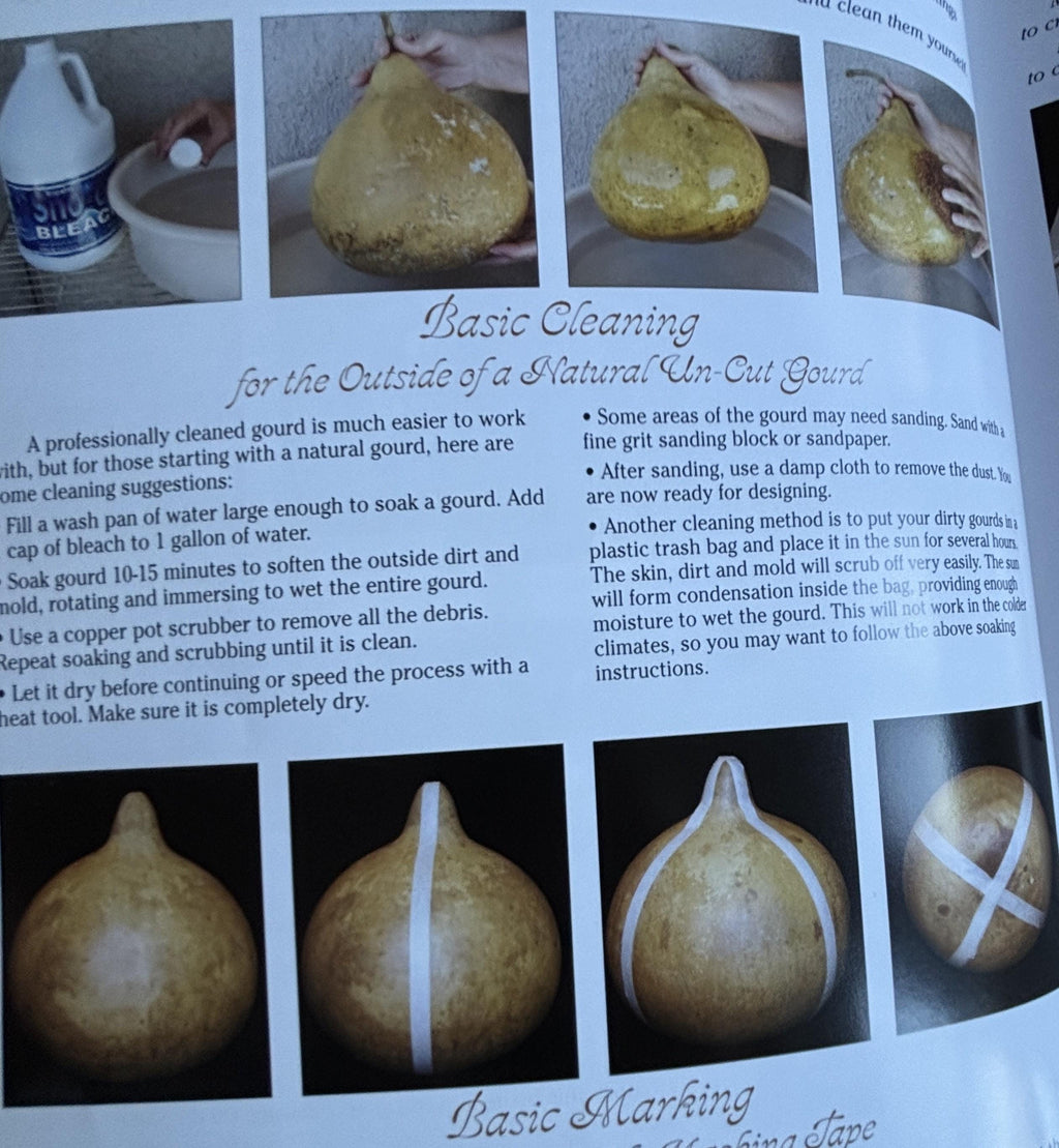 New Gourd Art with Ink Dyes:  Maria Dellos