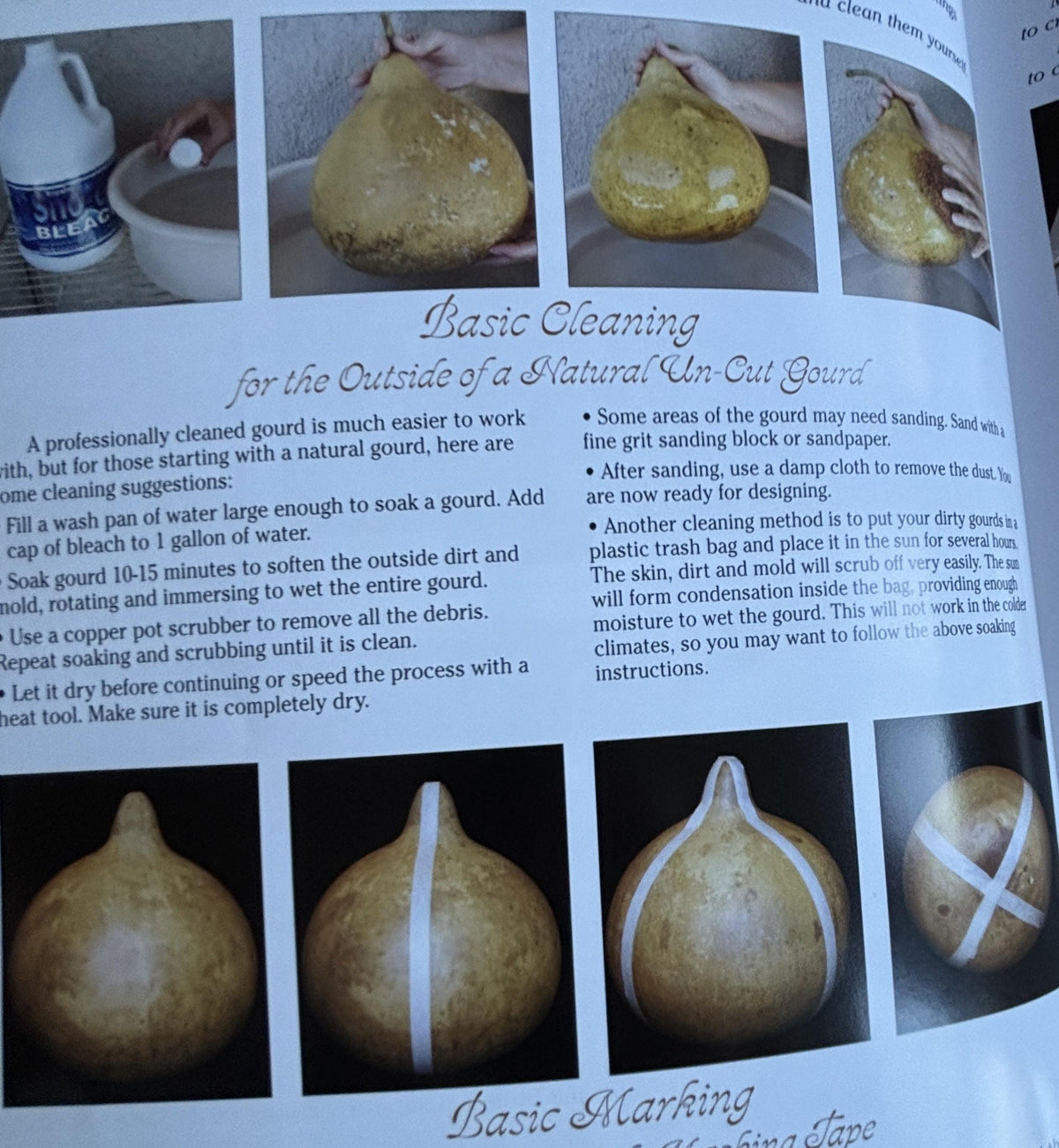New Gourd Art with Ink Dyes:  Maria Dellos