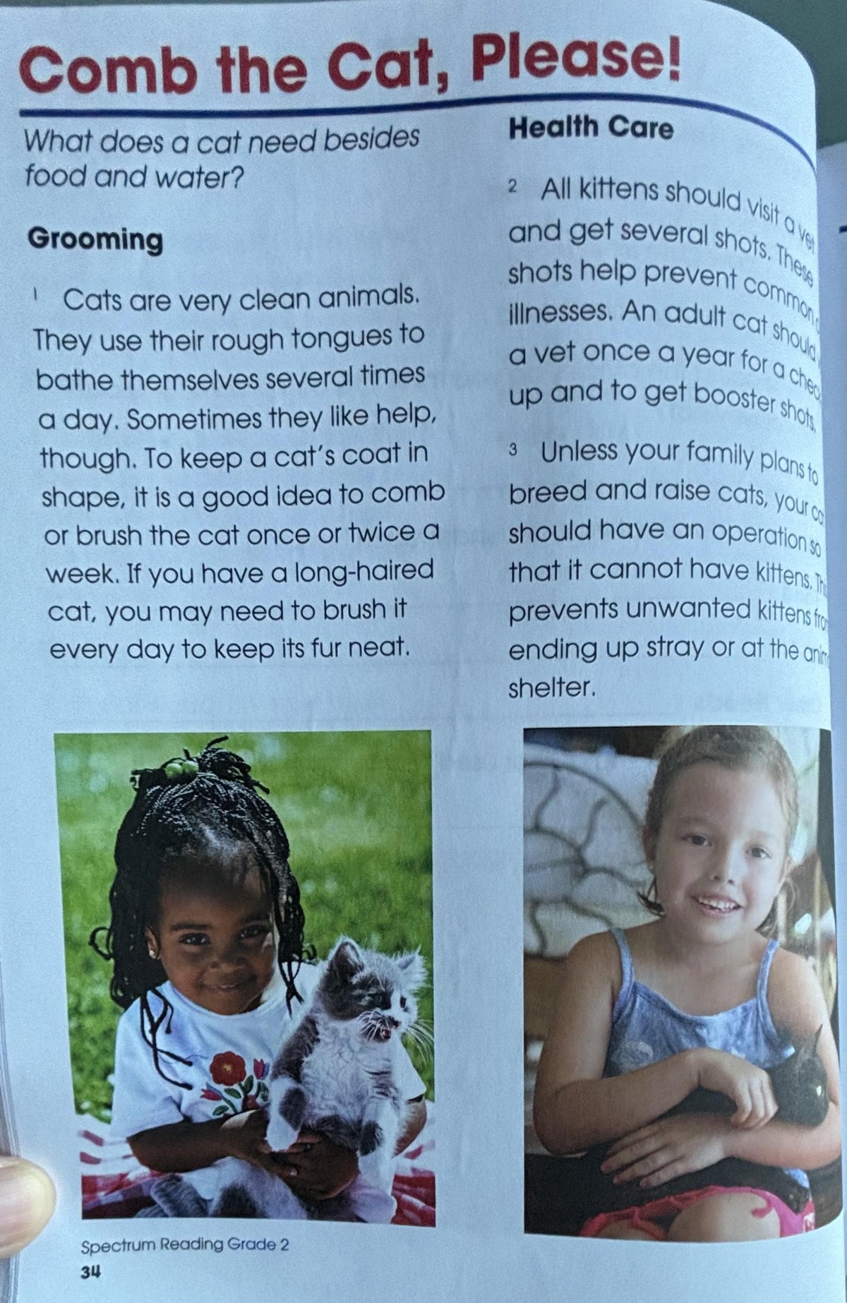 Reading Grade 2:  Carson Dellosa