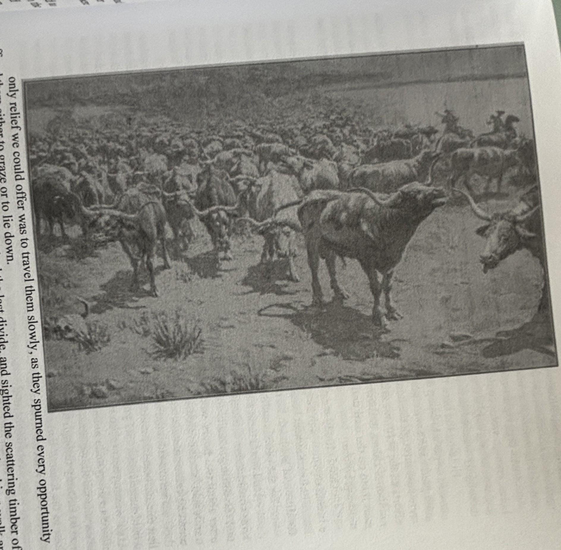 The Log of a cowboy:  Andy Adams