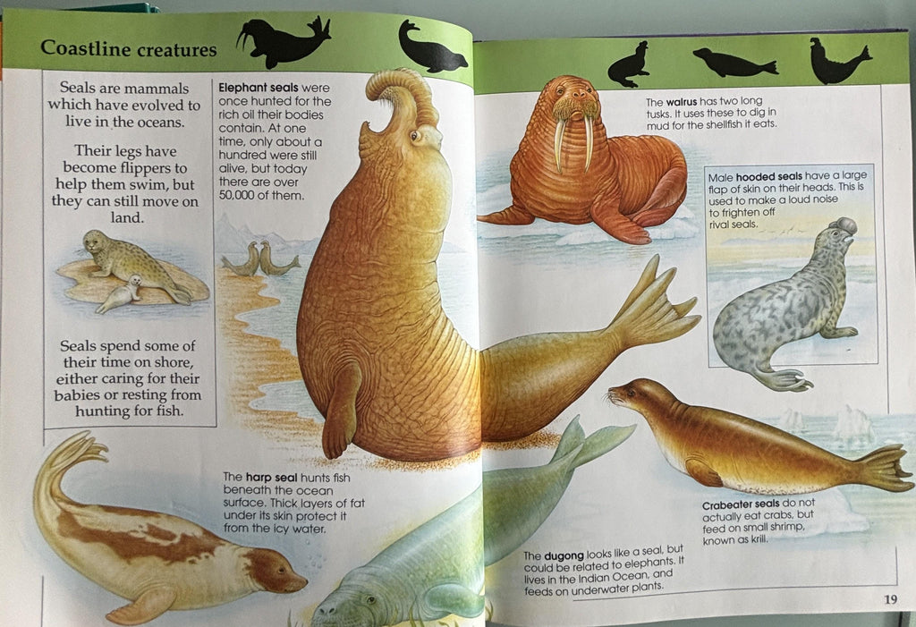 Amazing Animal Facts:  Rupert Matthews