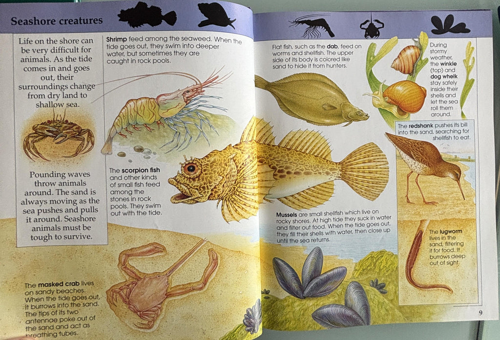 Amazing Animal Facts:  Rupert Matthews