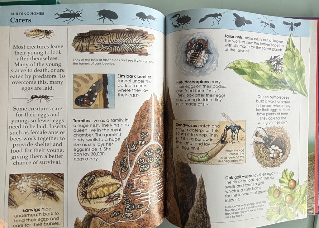 Amazing Animal Facts:  Rupert Matthews