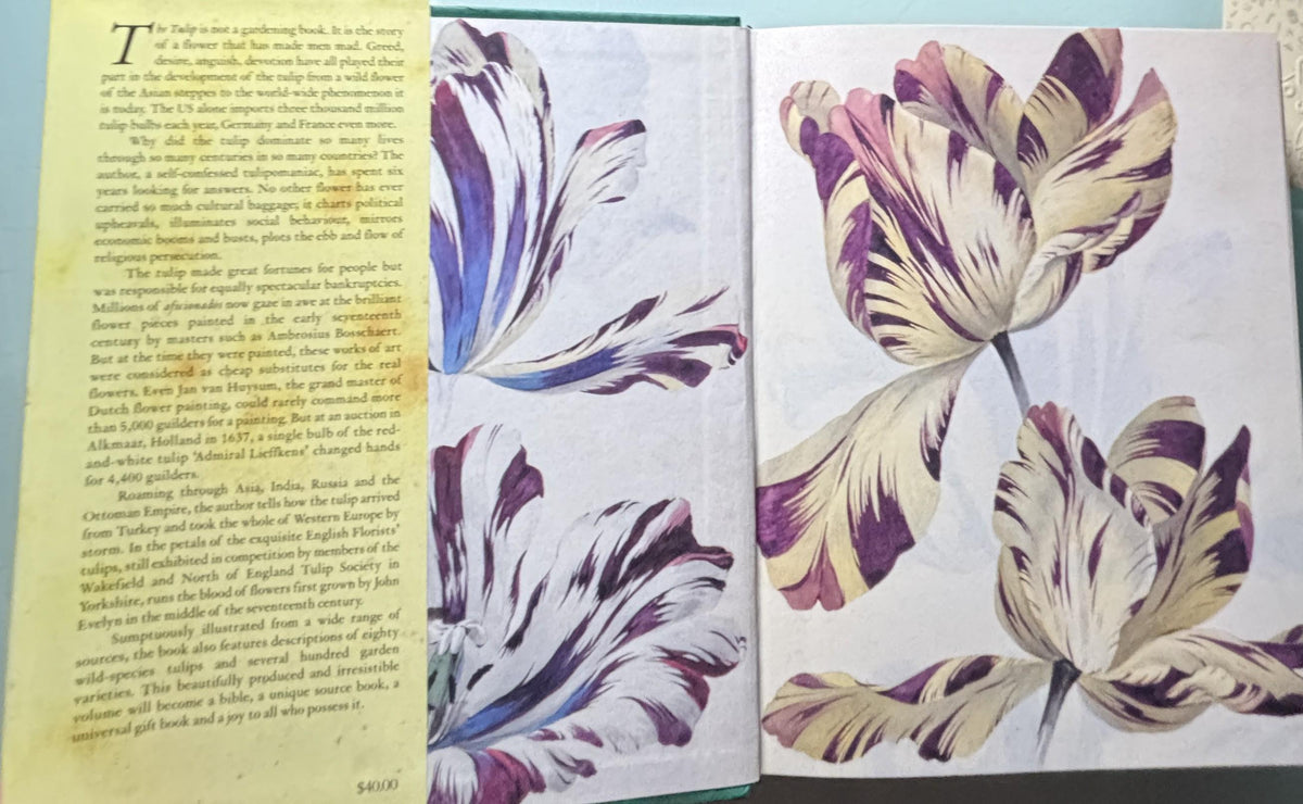 The TULIP:  Anna Pavord  **  First U.S. Edition  **  1999