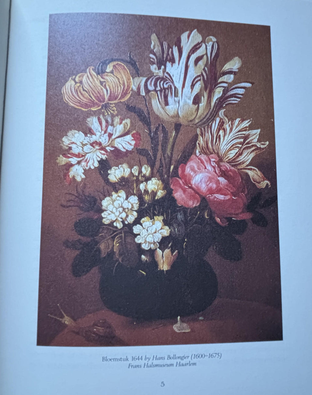 The TULIP:  Anna Pavord  **  First U.S. Edition  **  1999