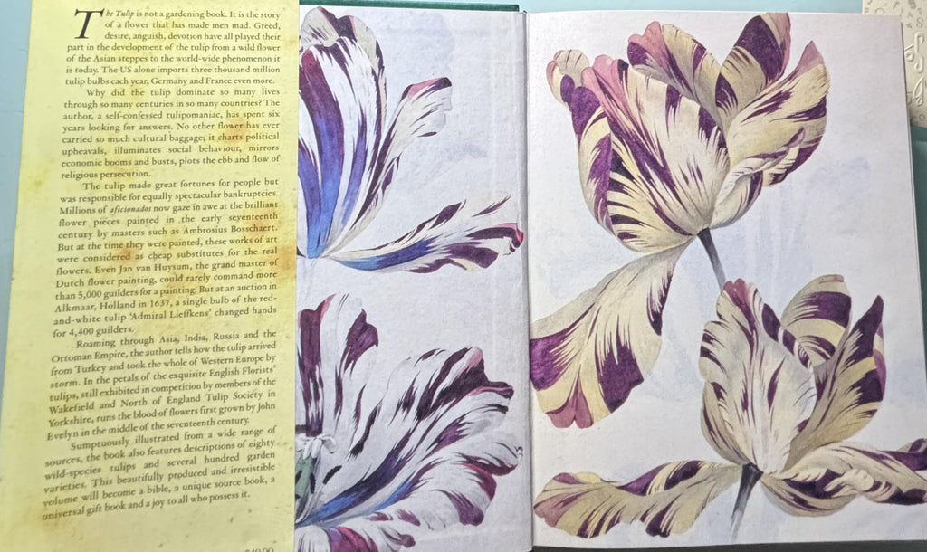 The TULIP:  Anna Pavord  **  First U.S. Edition  **  1999