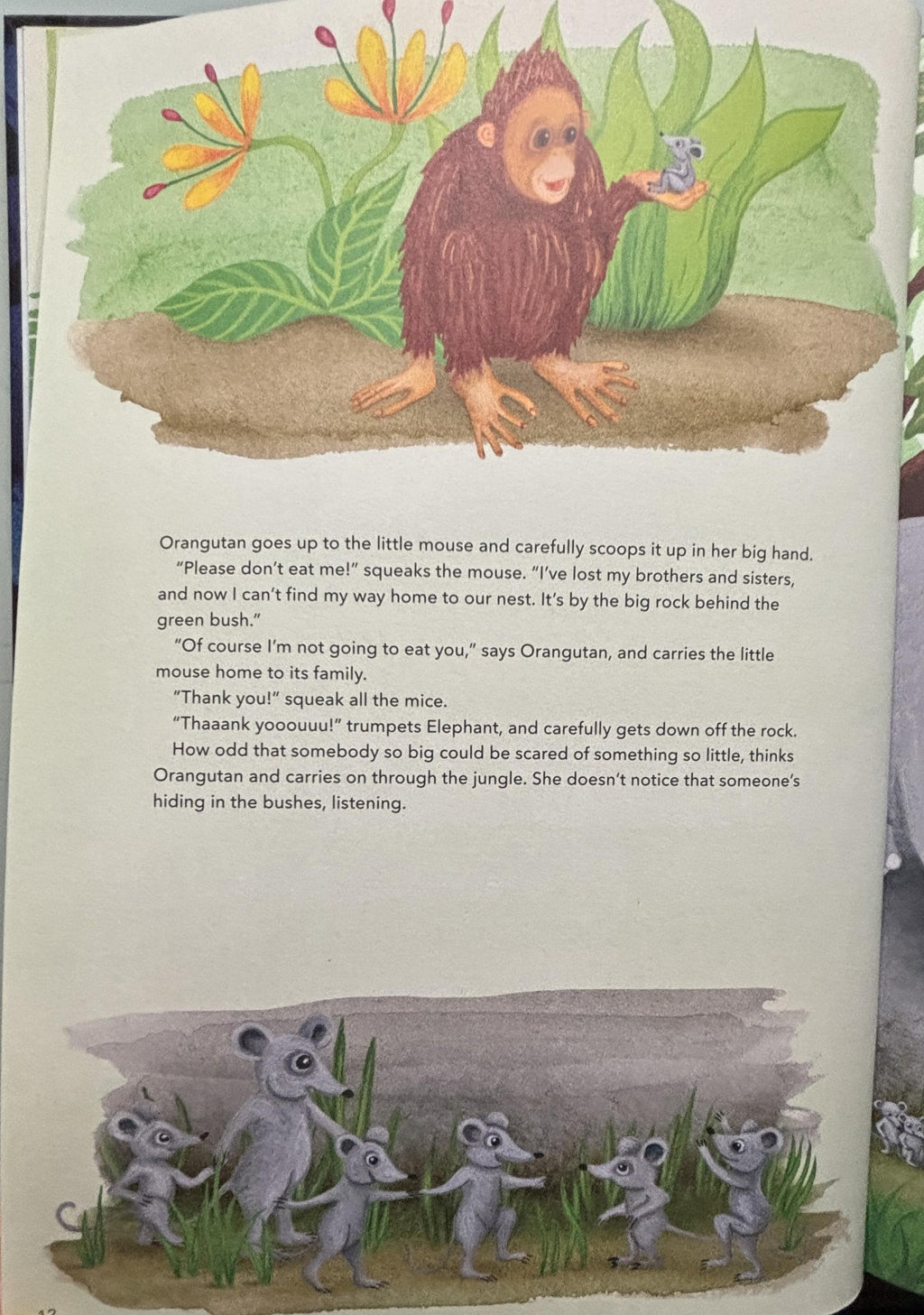 Orangutan is Scared:  Sophie Holmqvist