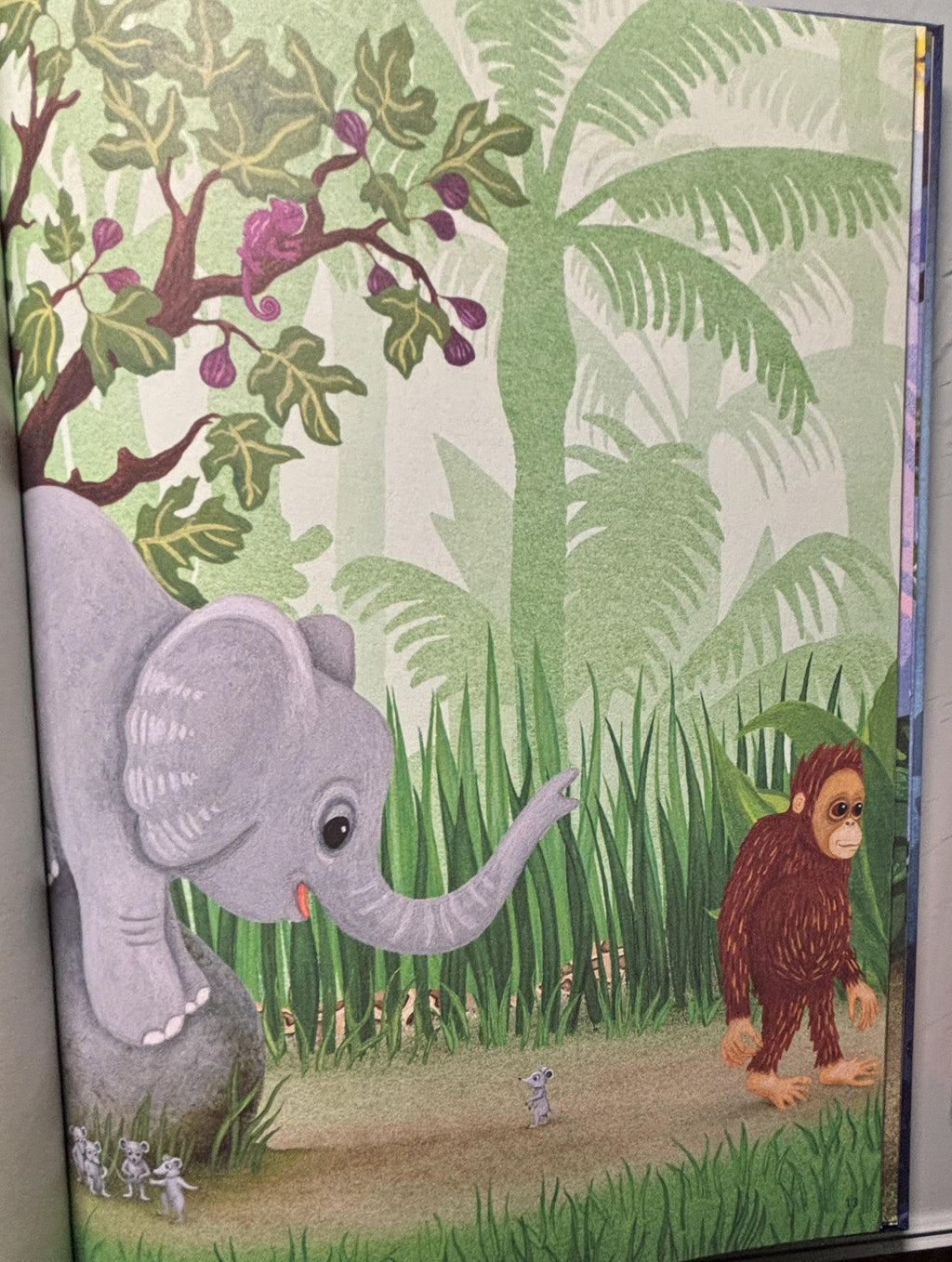 Orangutan is Scared:  Sophie Holmqvist