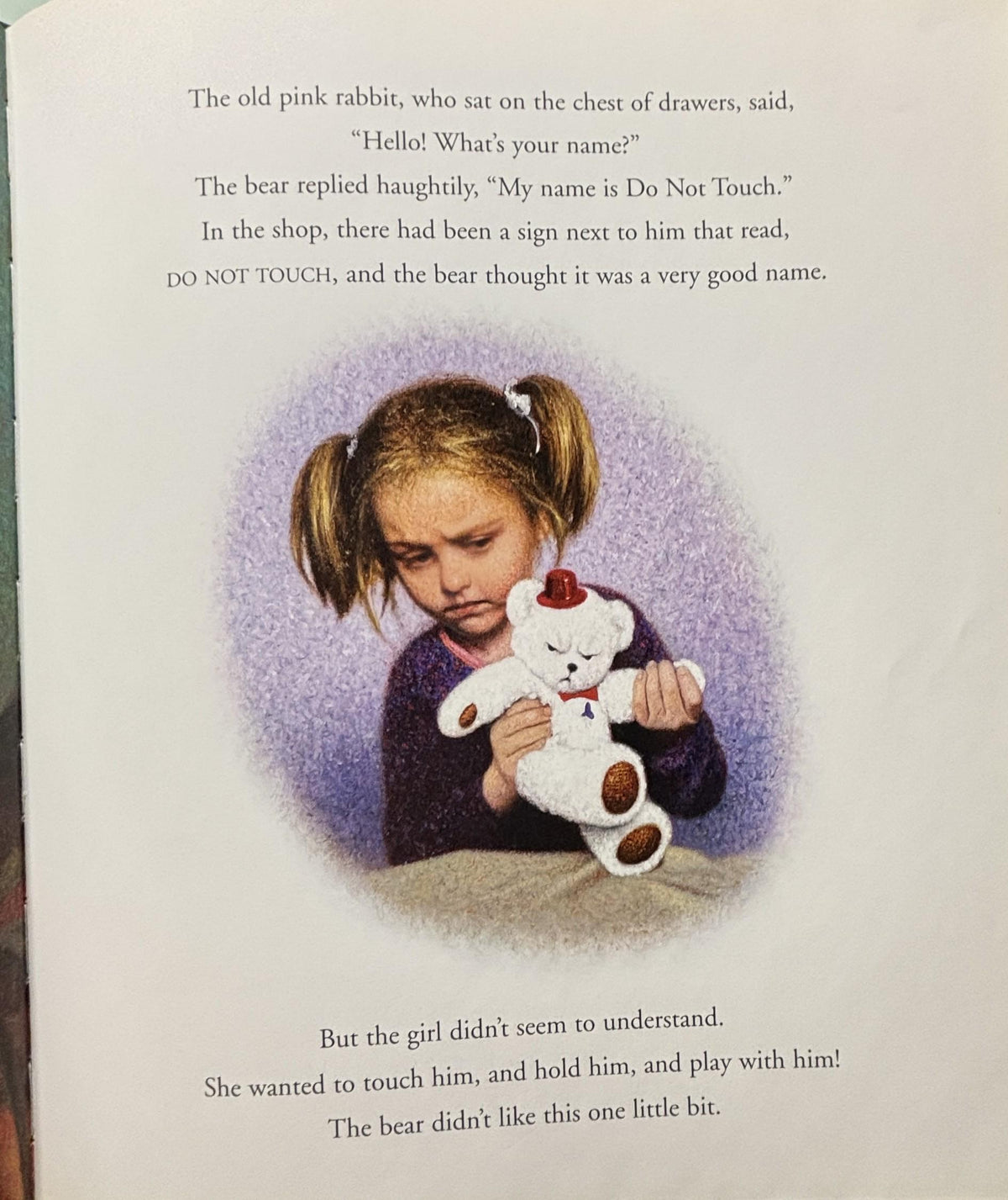 The Perfect Bear:  Gillian Shields  **  First Editiion  **