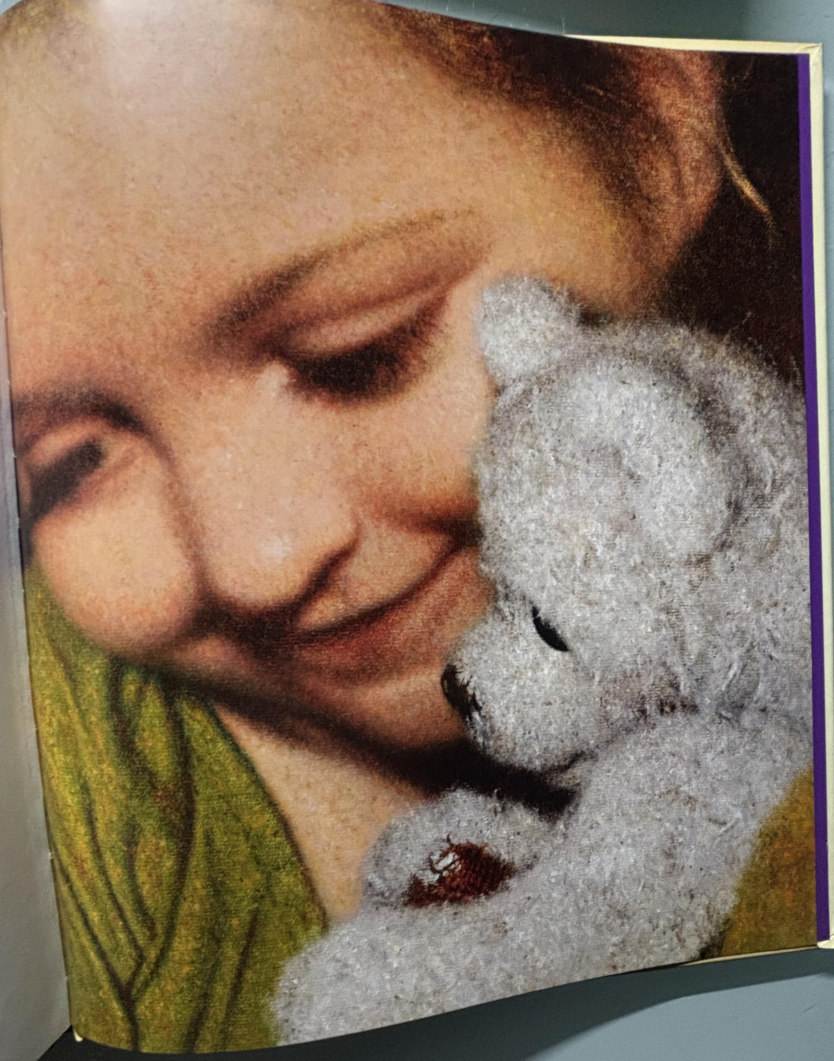The Perfect Bear:  Gillian Shields  **  First Editiion  **