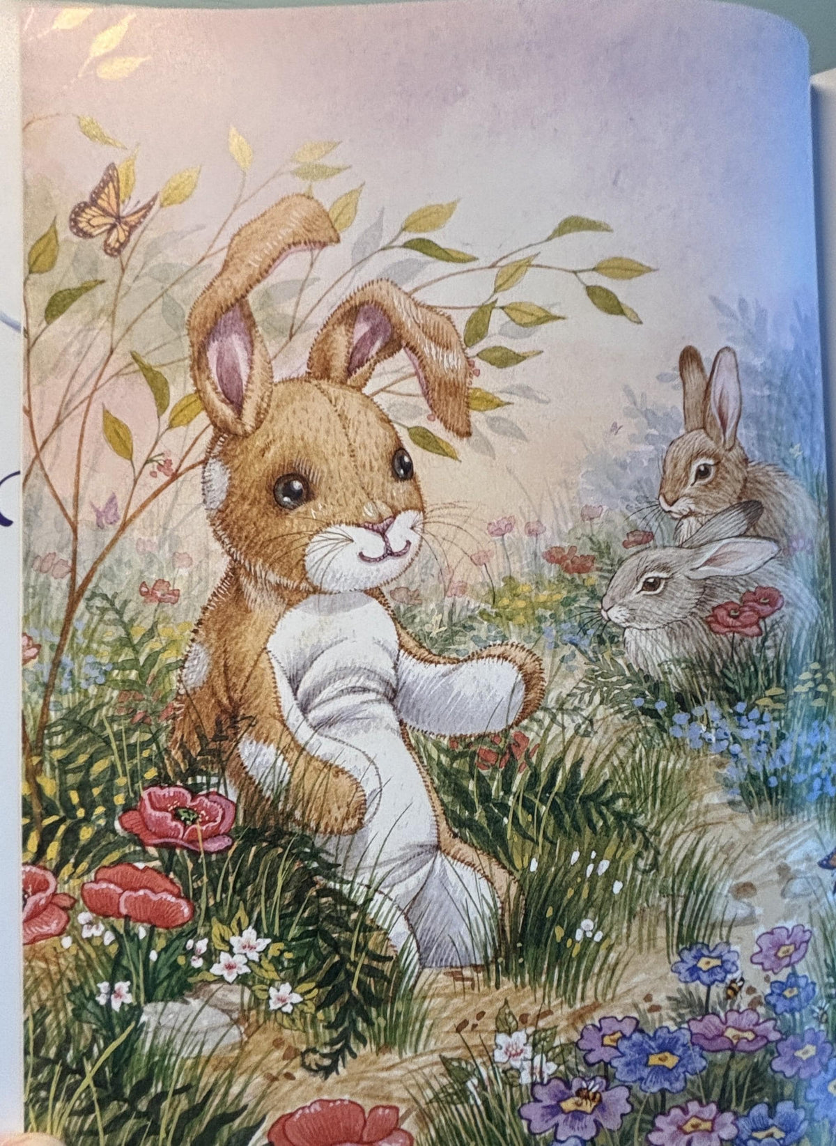 The Velveteen Rabbit:  Margery Williams  2012