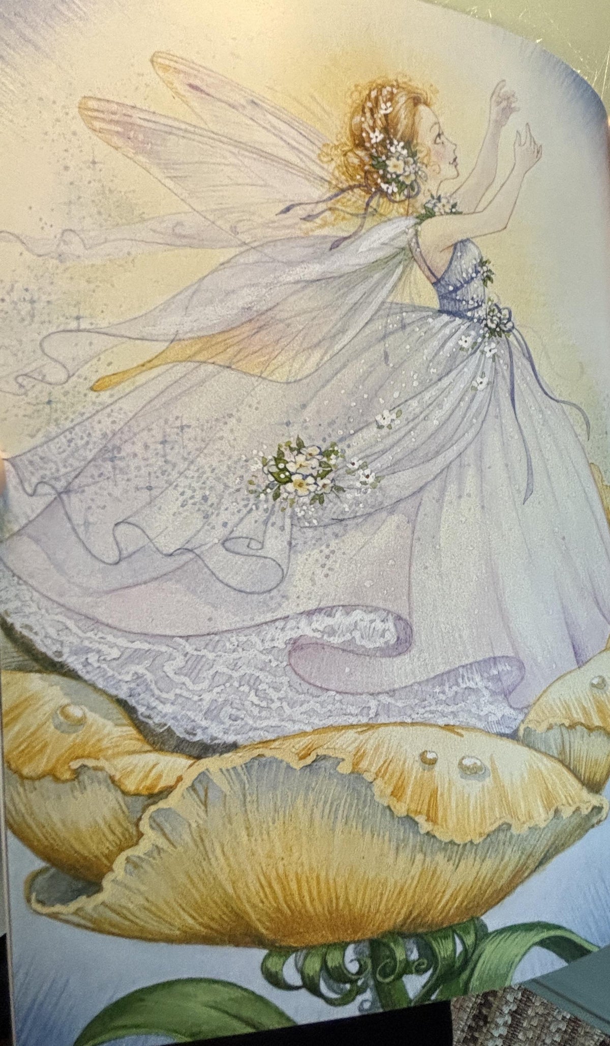 The Velveteen Rabbit:  Margery Williams  2012