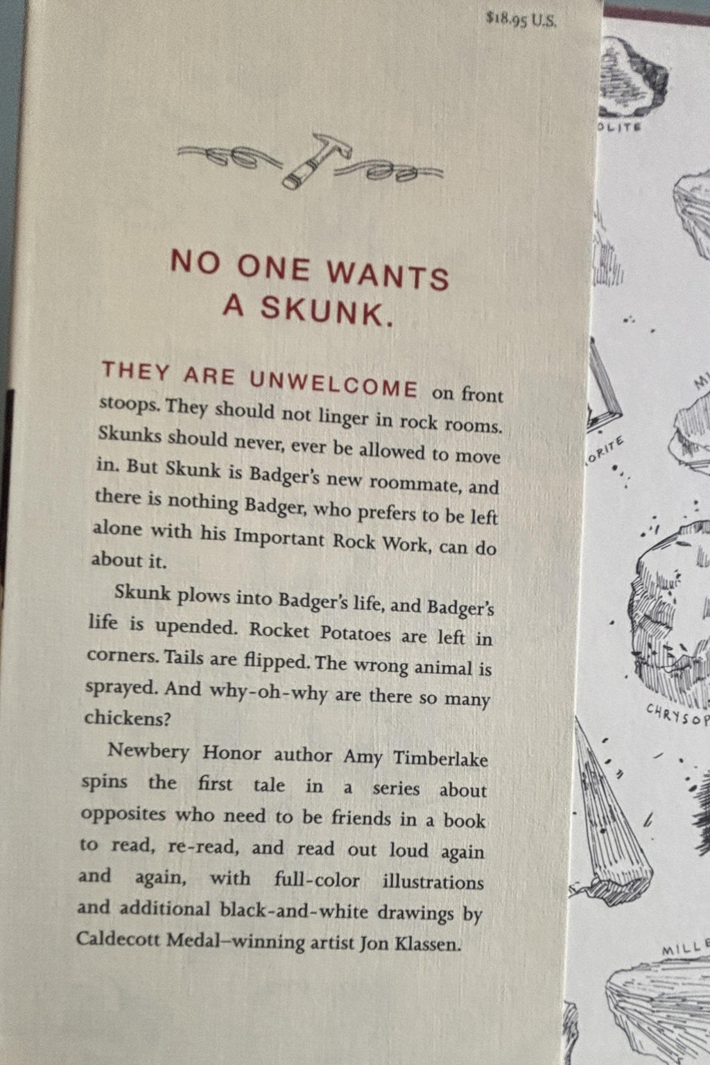 Skunk and Badger:  Amy Timberlake  **  First Edition  **