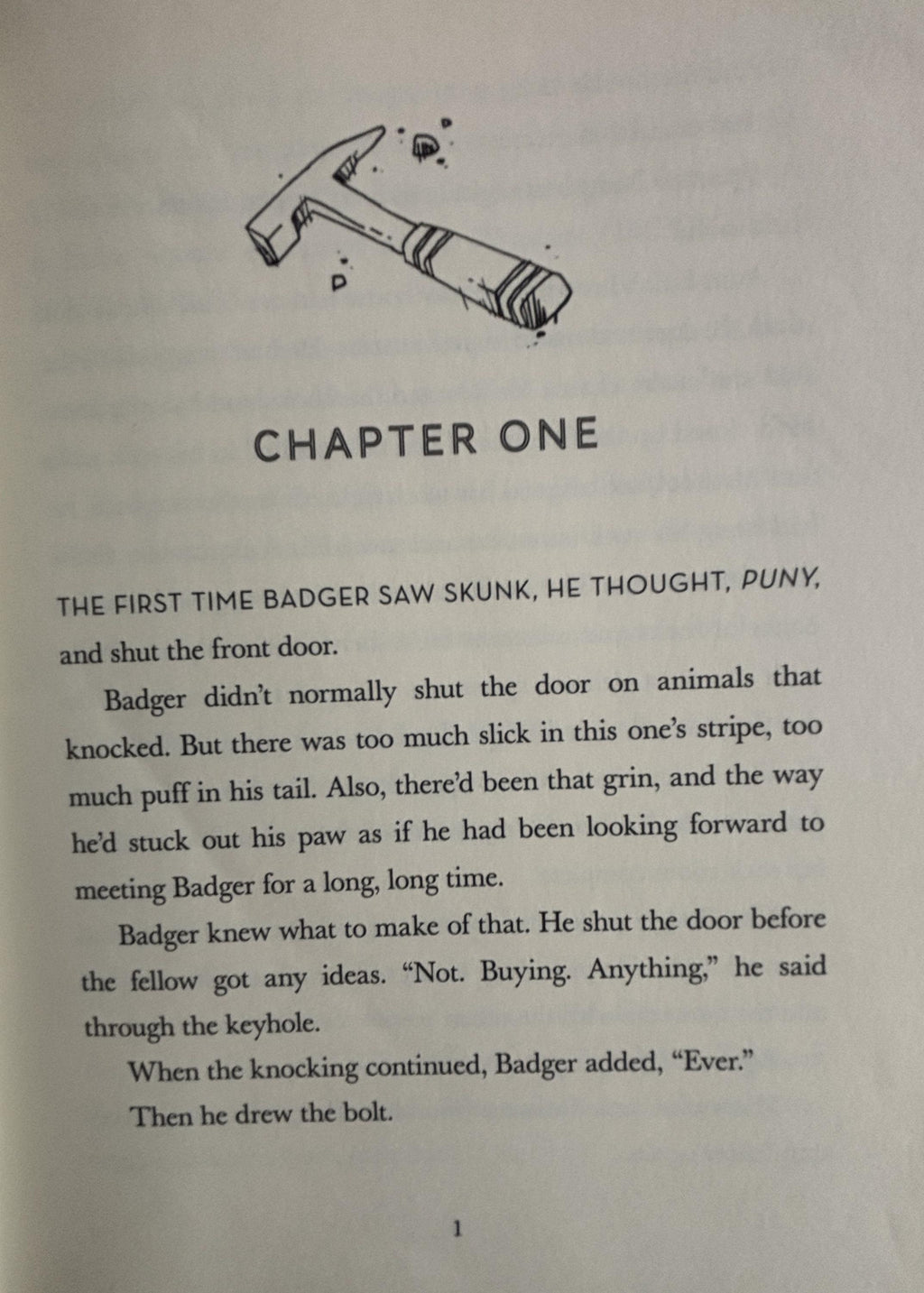 Skunk and Badger:  Amy Timberlake  **  First Edition  **