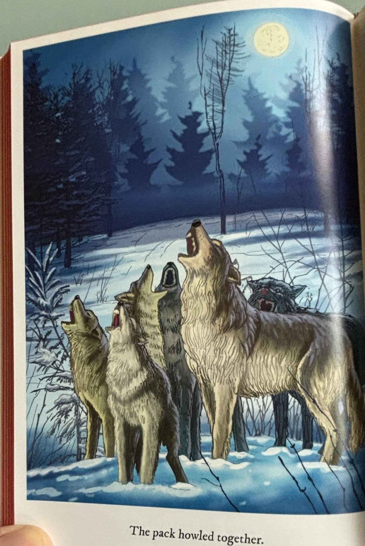 The Call of the Wild:  Jack London  **  FIrst Printing  **
