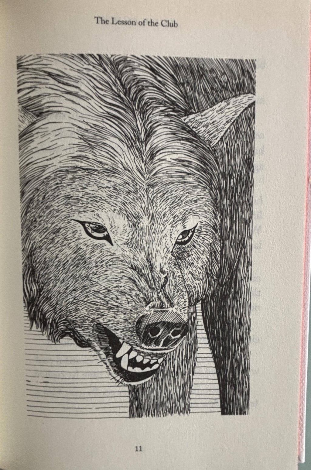 The Call of the Wild:  Jack London  **  FIrst Printing  **