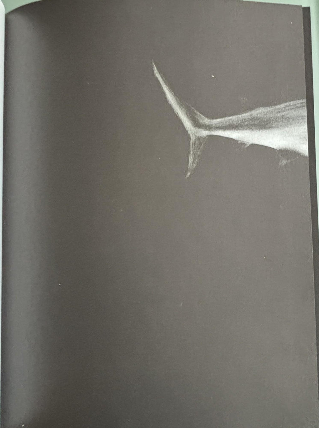 Everything is TEETH:  Evie Wyld  **  FIrst US Edition  **